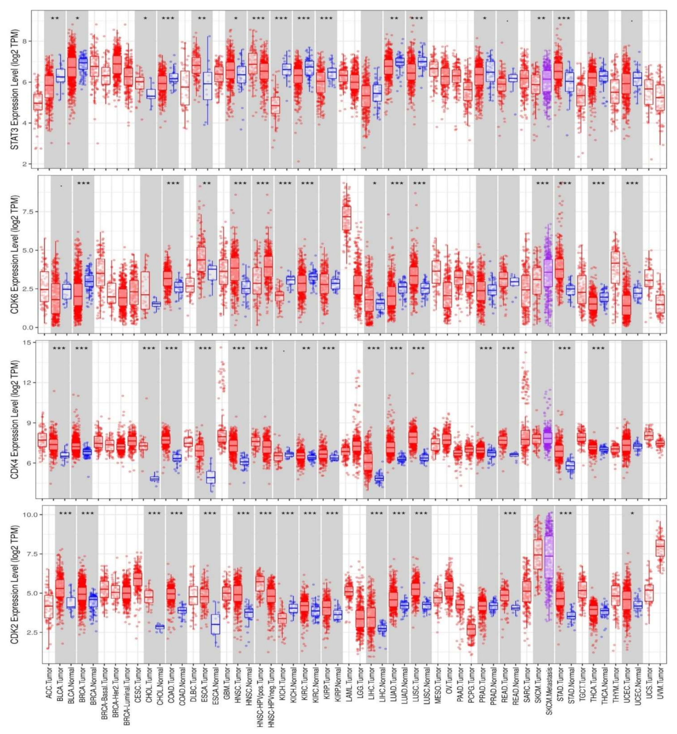 Cancers 13 00954 g001 Cancers 13 00954 g001