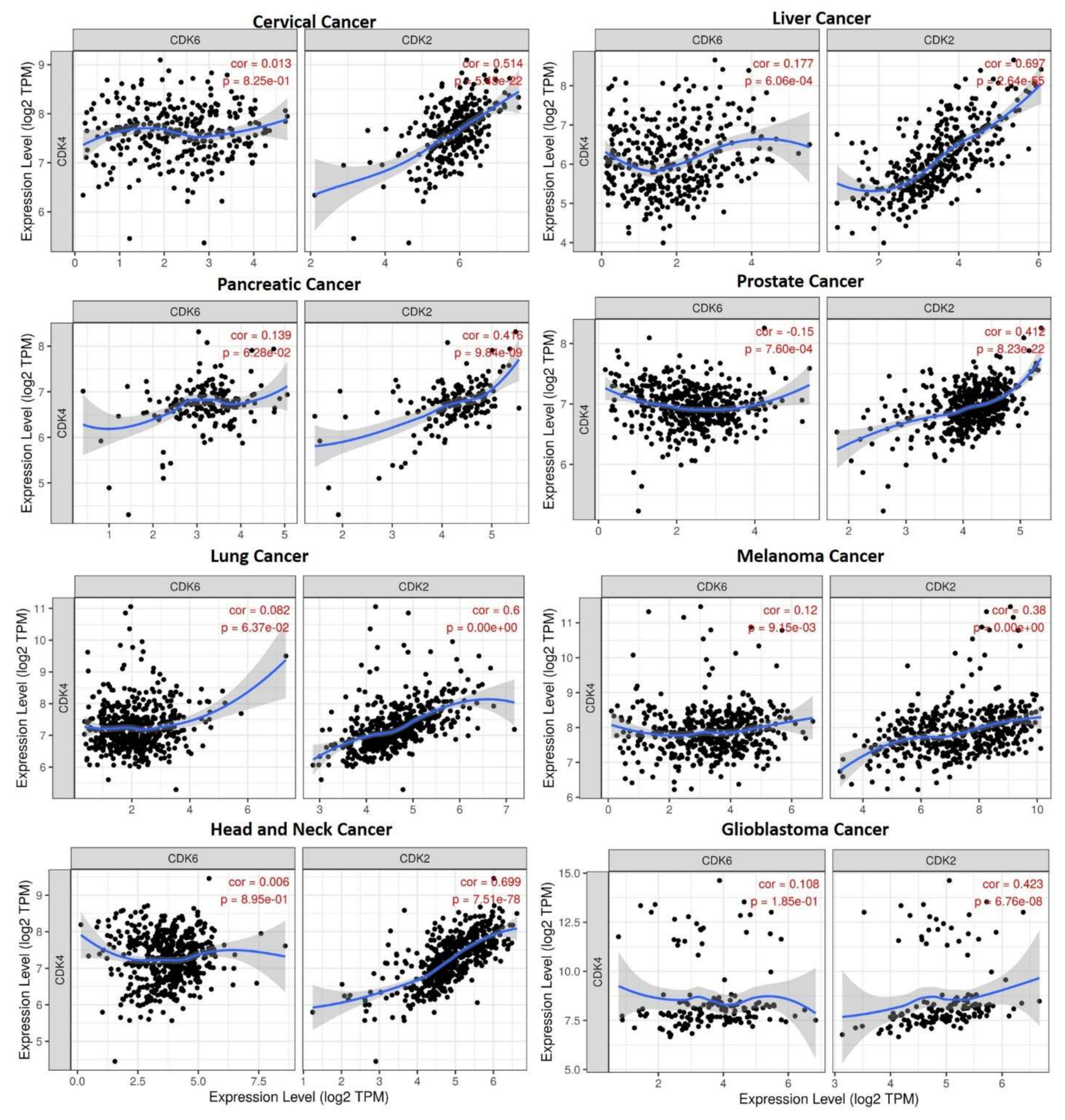 Cancers 13 00954 g002 Cancers 13 00954 g002