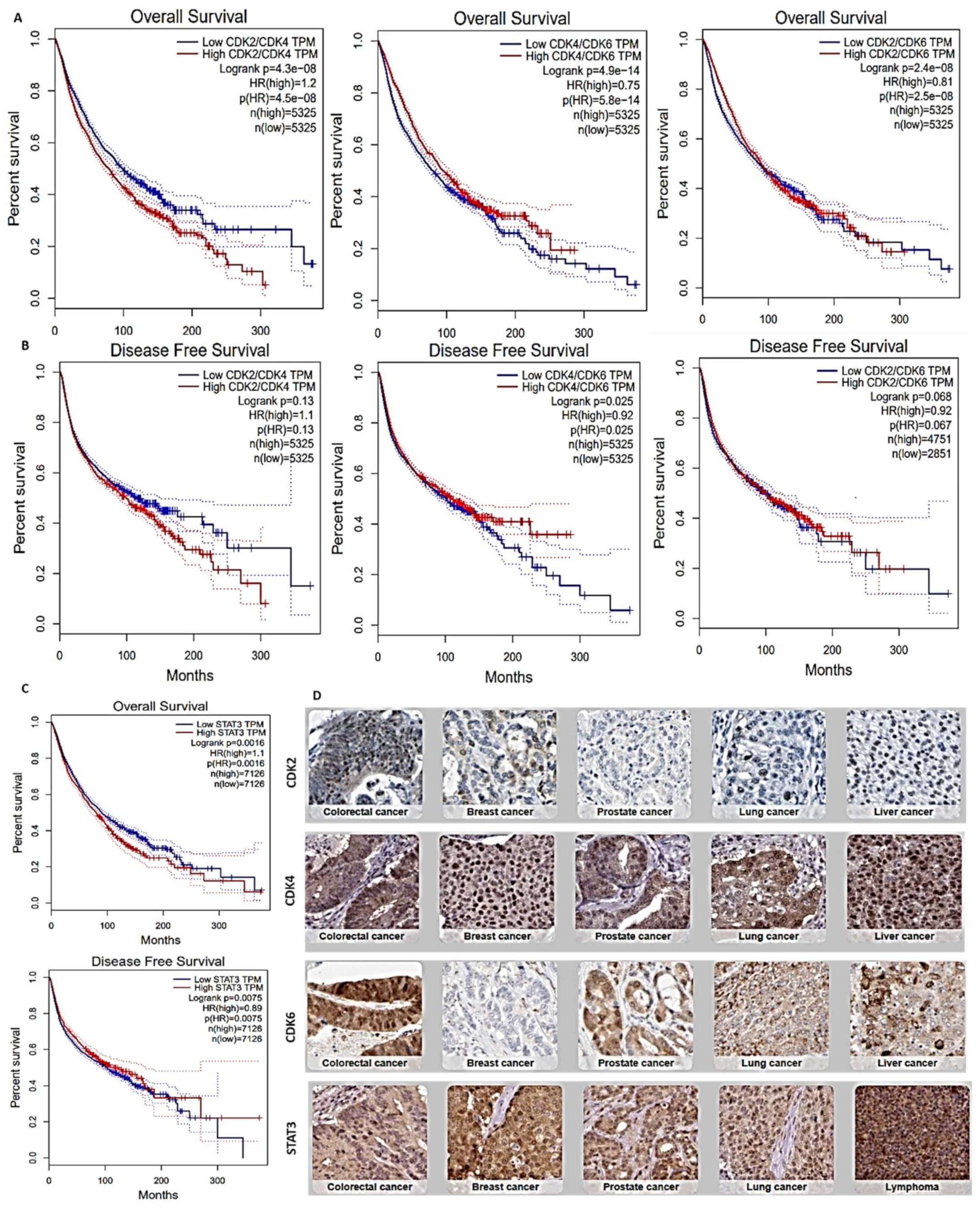 Cancers 13 00954 g003 Cancers 13 00954 g003