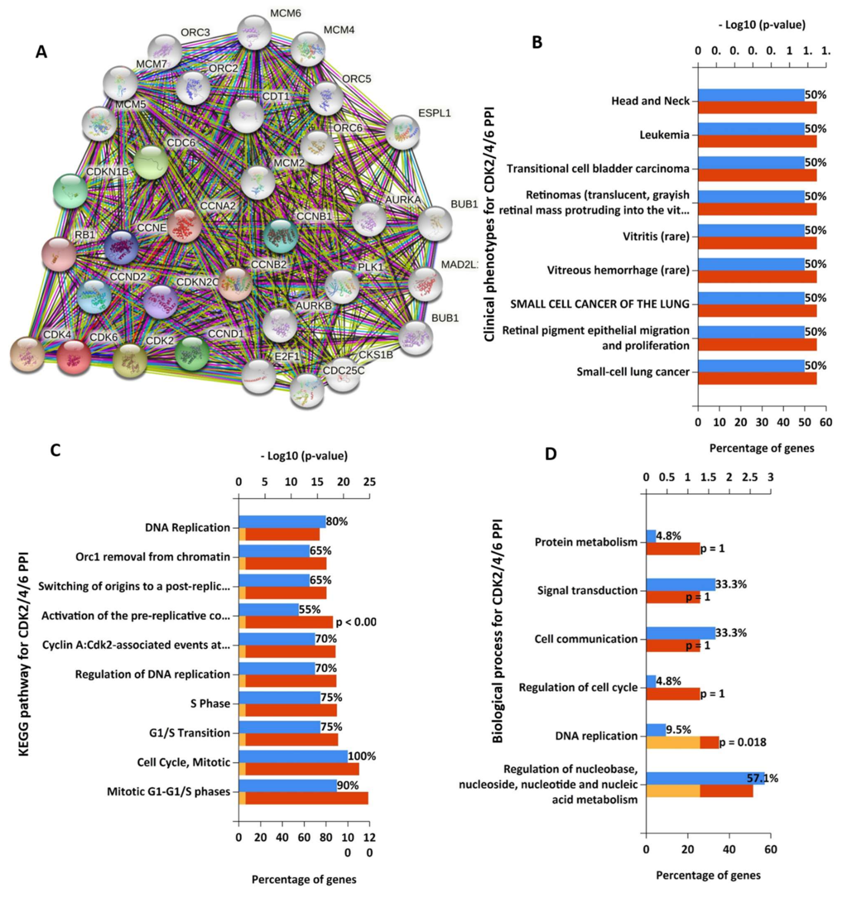 Cancers 13 00954 g004 Cancers 13 00954 g004