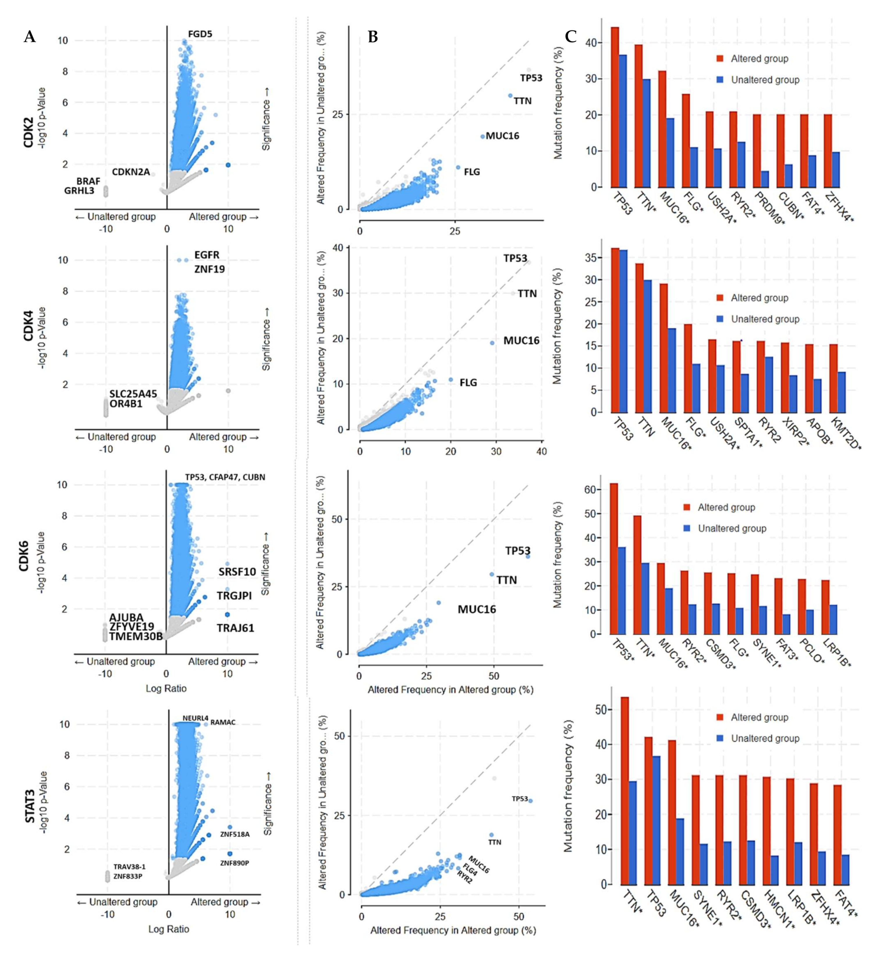 Cancers 13 00954 g008 Cancers 13 00954 g008