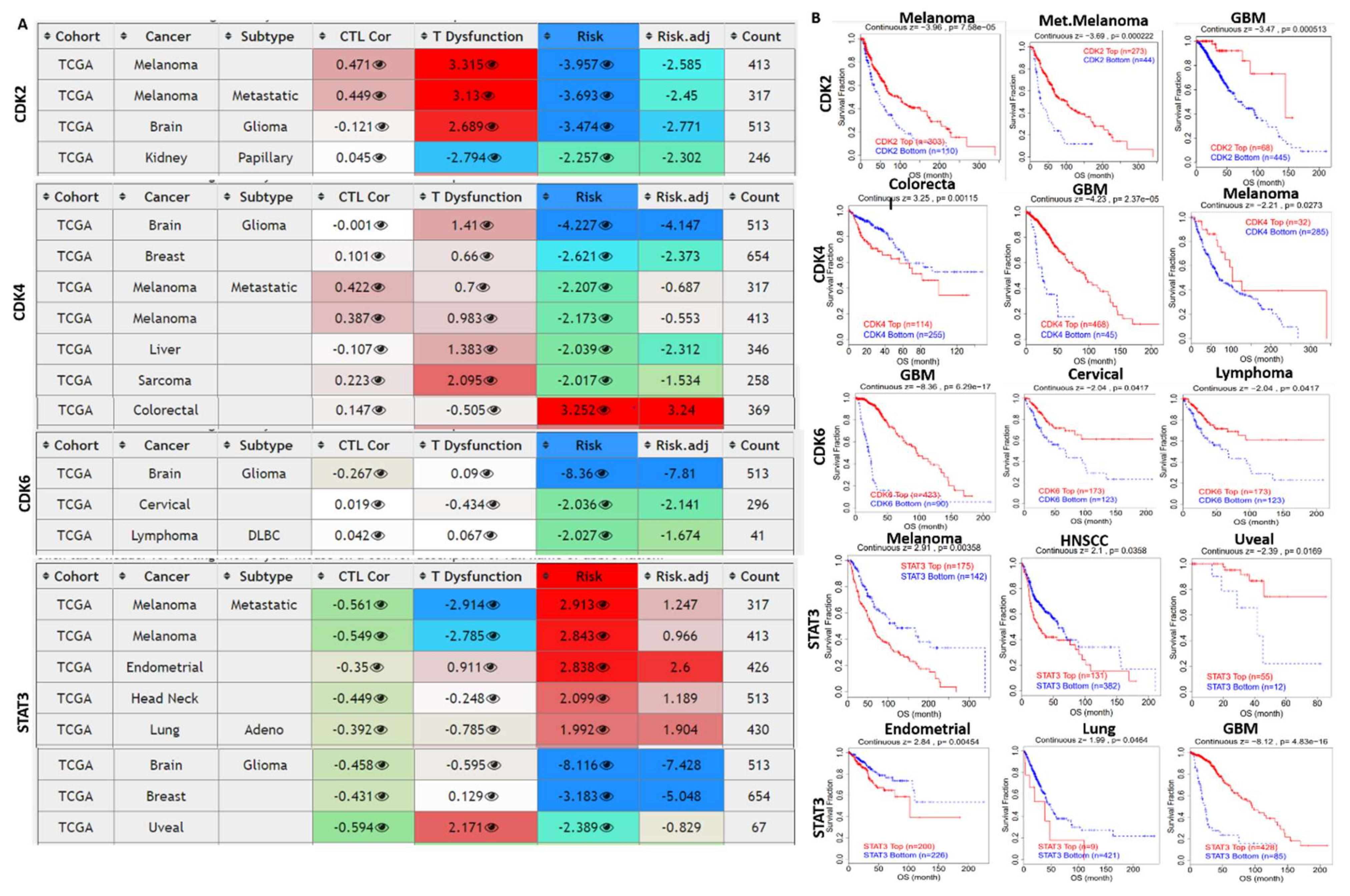 Cancers 13 00954 g009 Cancers 13 00954 g009