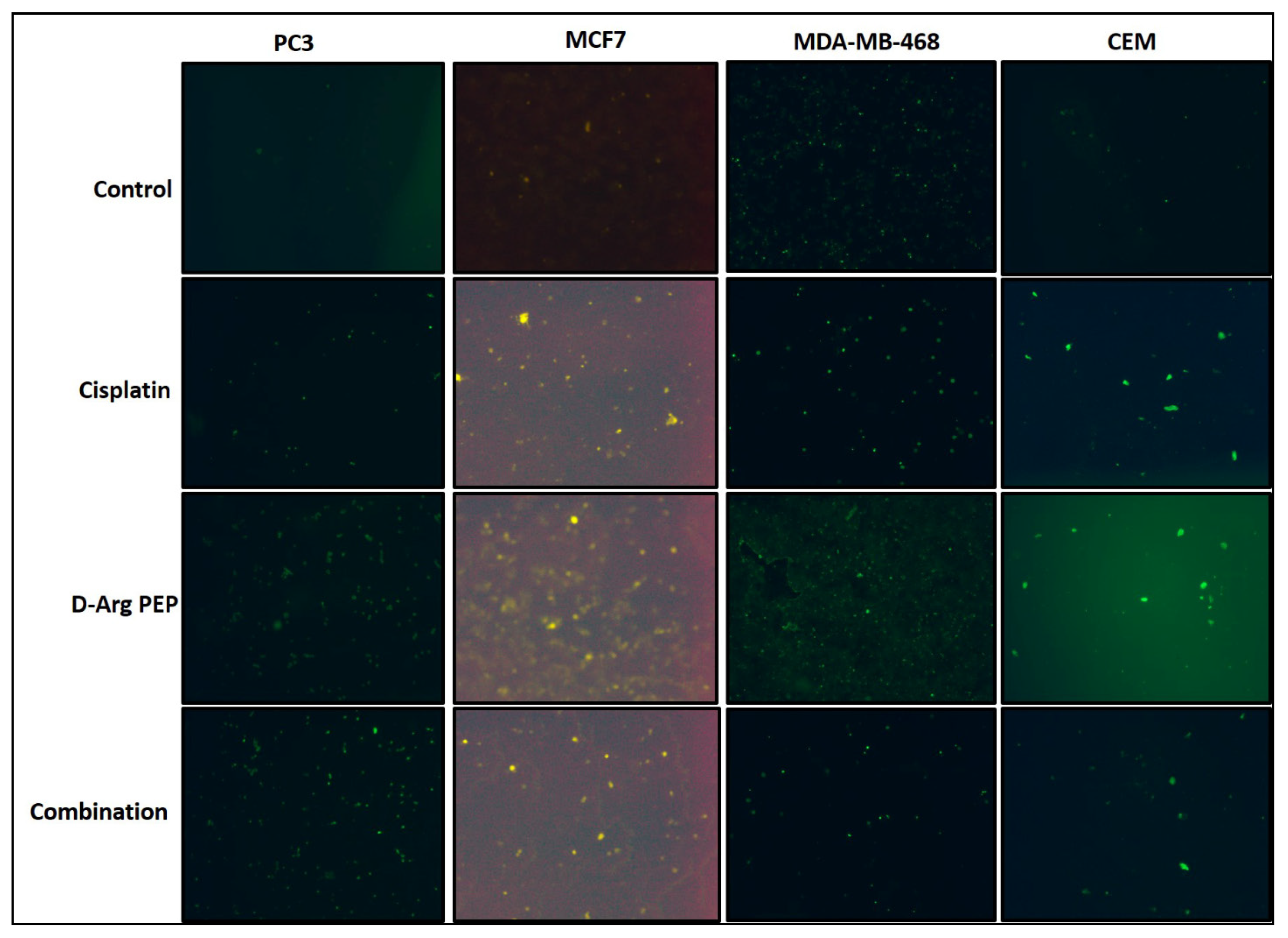 Cancers 13 00972 g004 Cancers 13 00972 g004