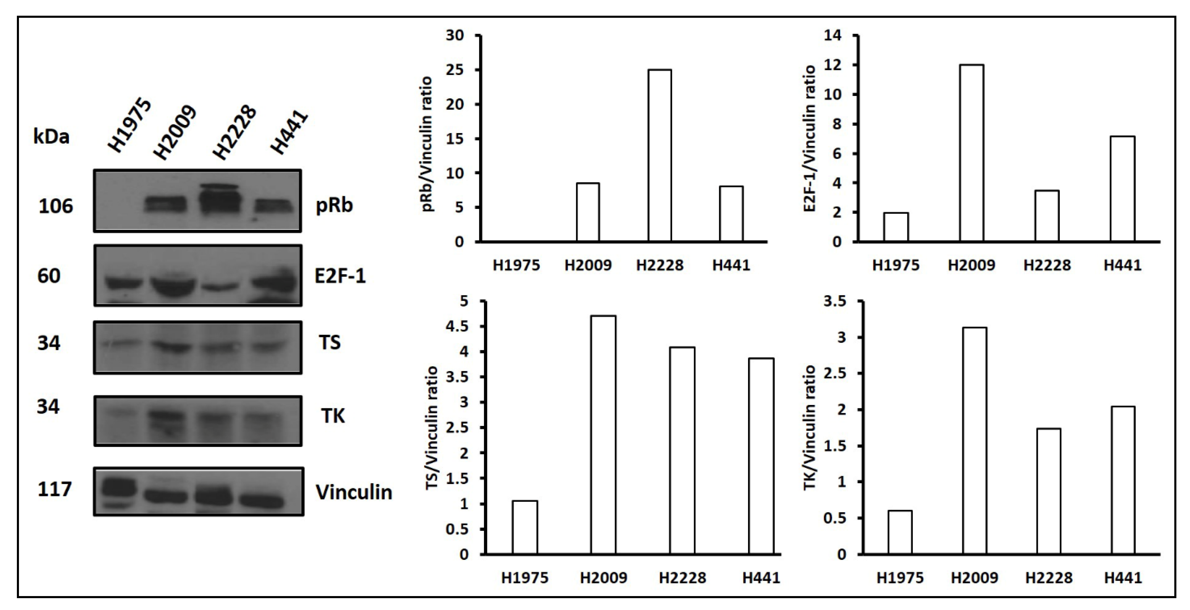 Cancers 13 00972 g006 Cancers 13 00972 g006