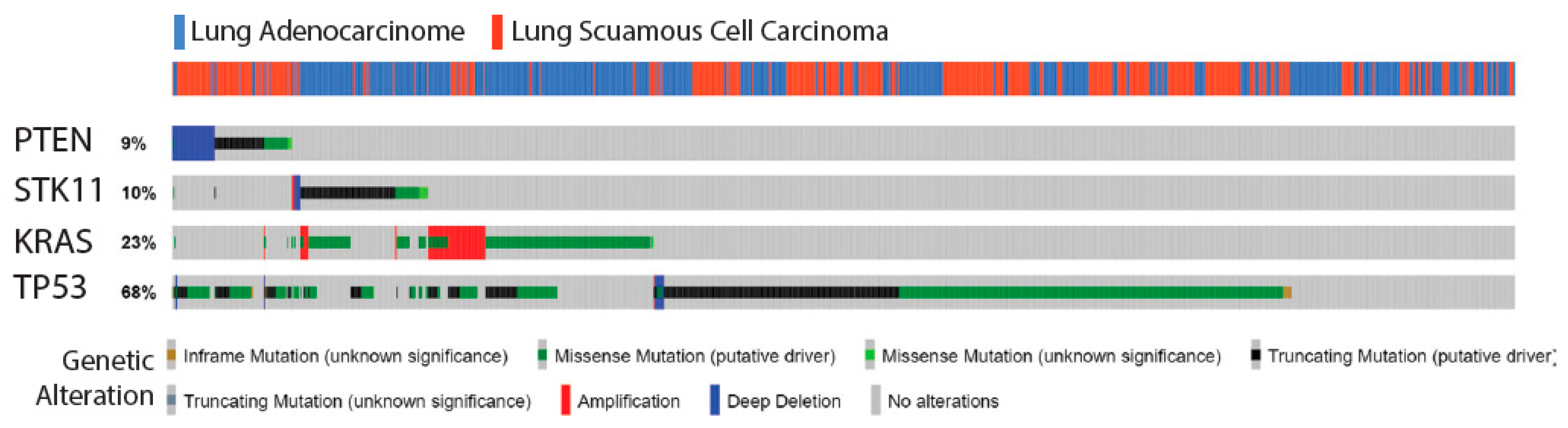 Cancers 13 00974 g001 Cancers 13 00974 g001