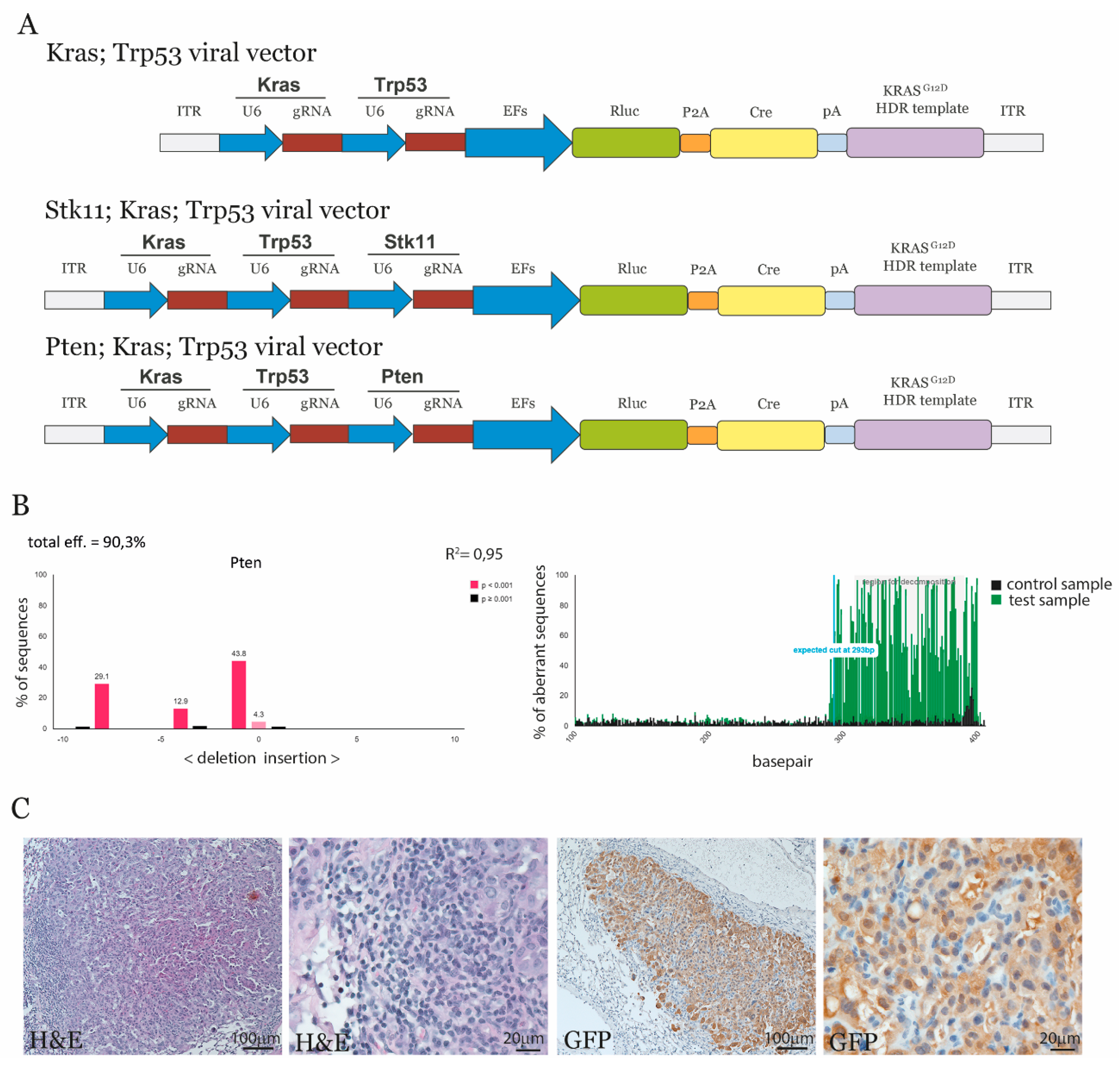Cancers 13 00974 g002 Cancers 13 00974 g002