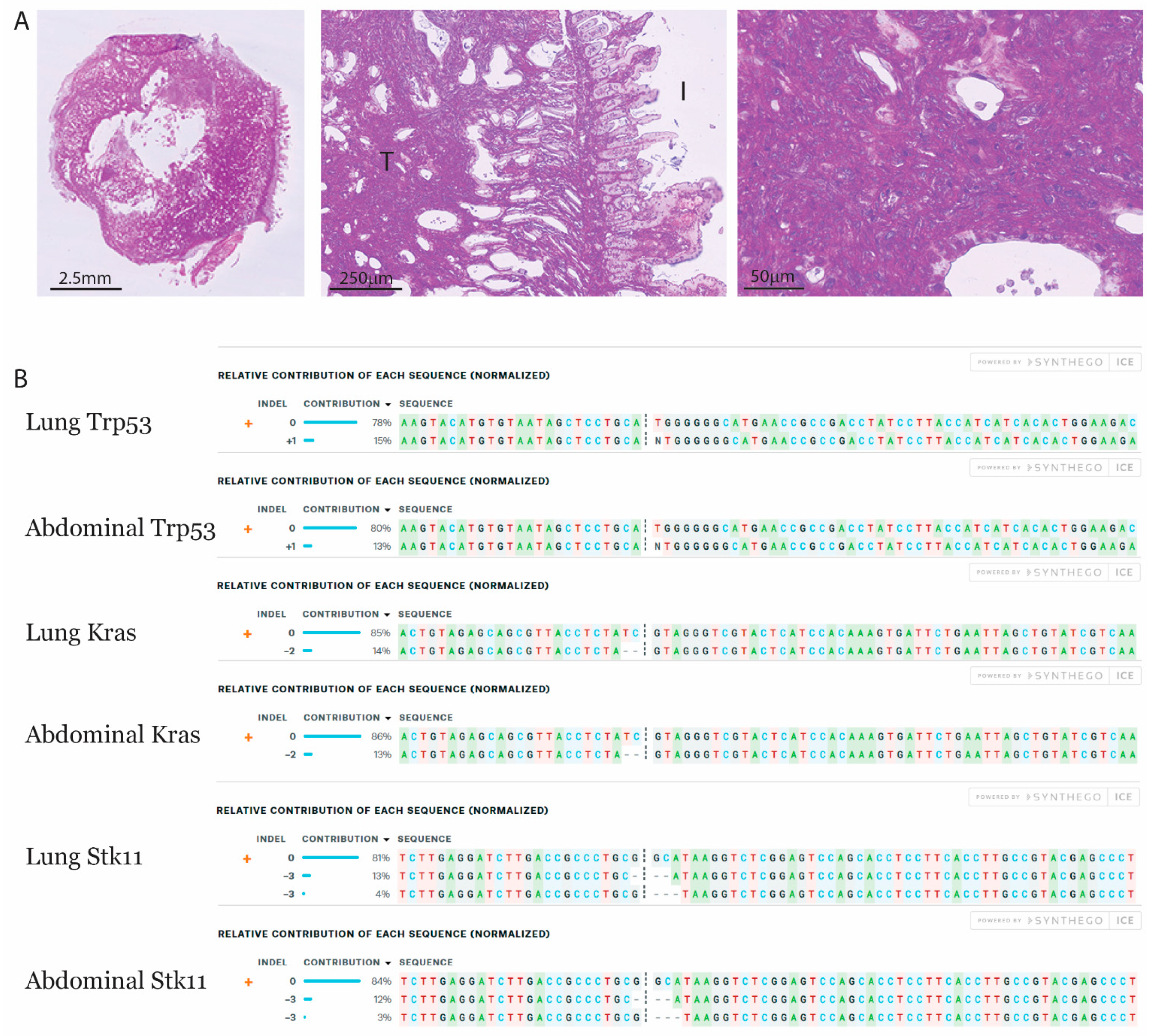 Cancers 13 00974 g005 Cancers 13 00974 g005