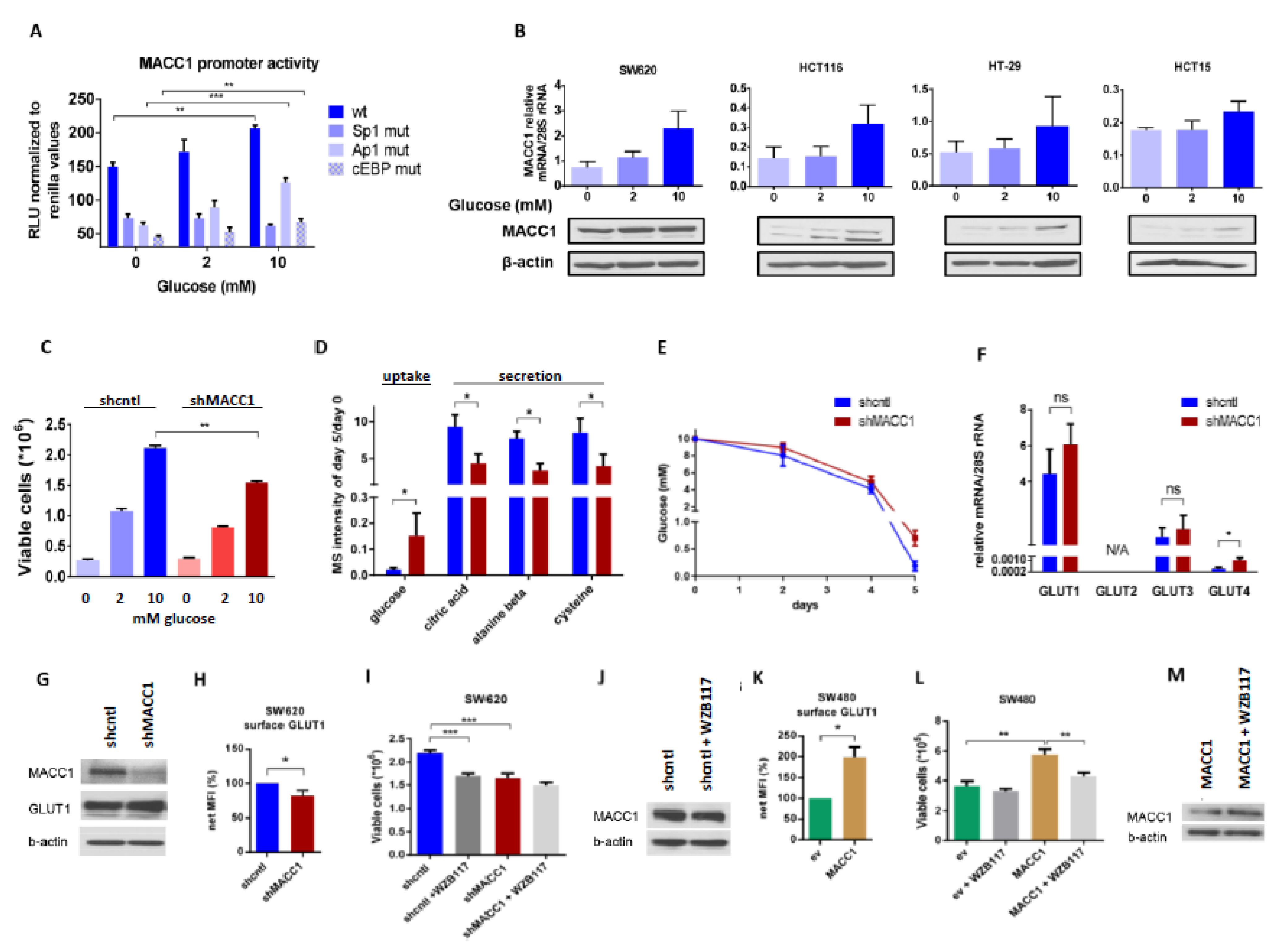 Cancers 13 00978 g002