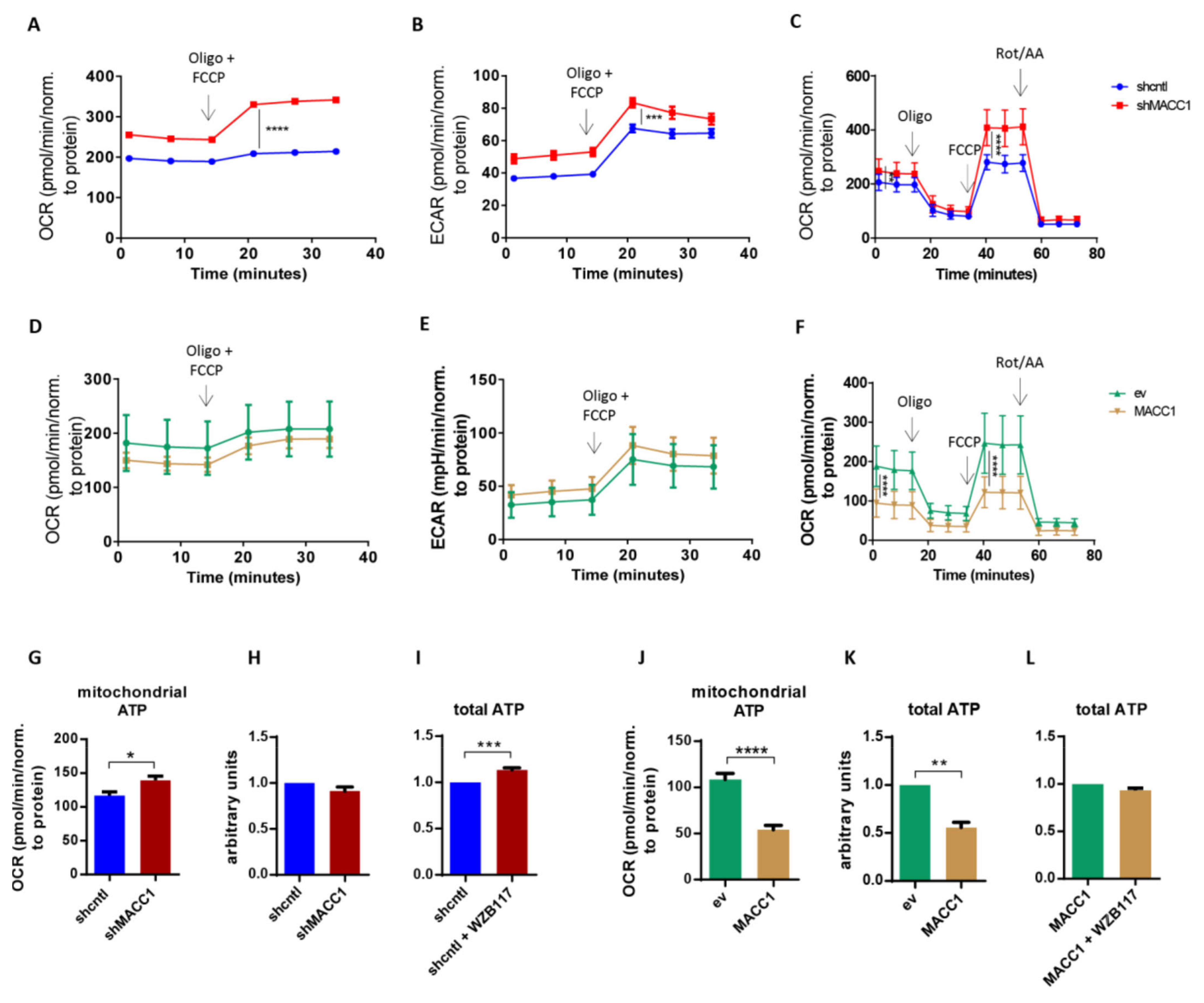 Cancers 13 00978 g003