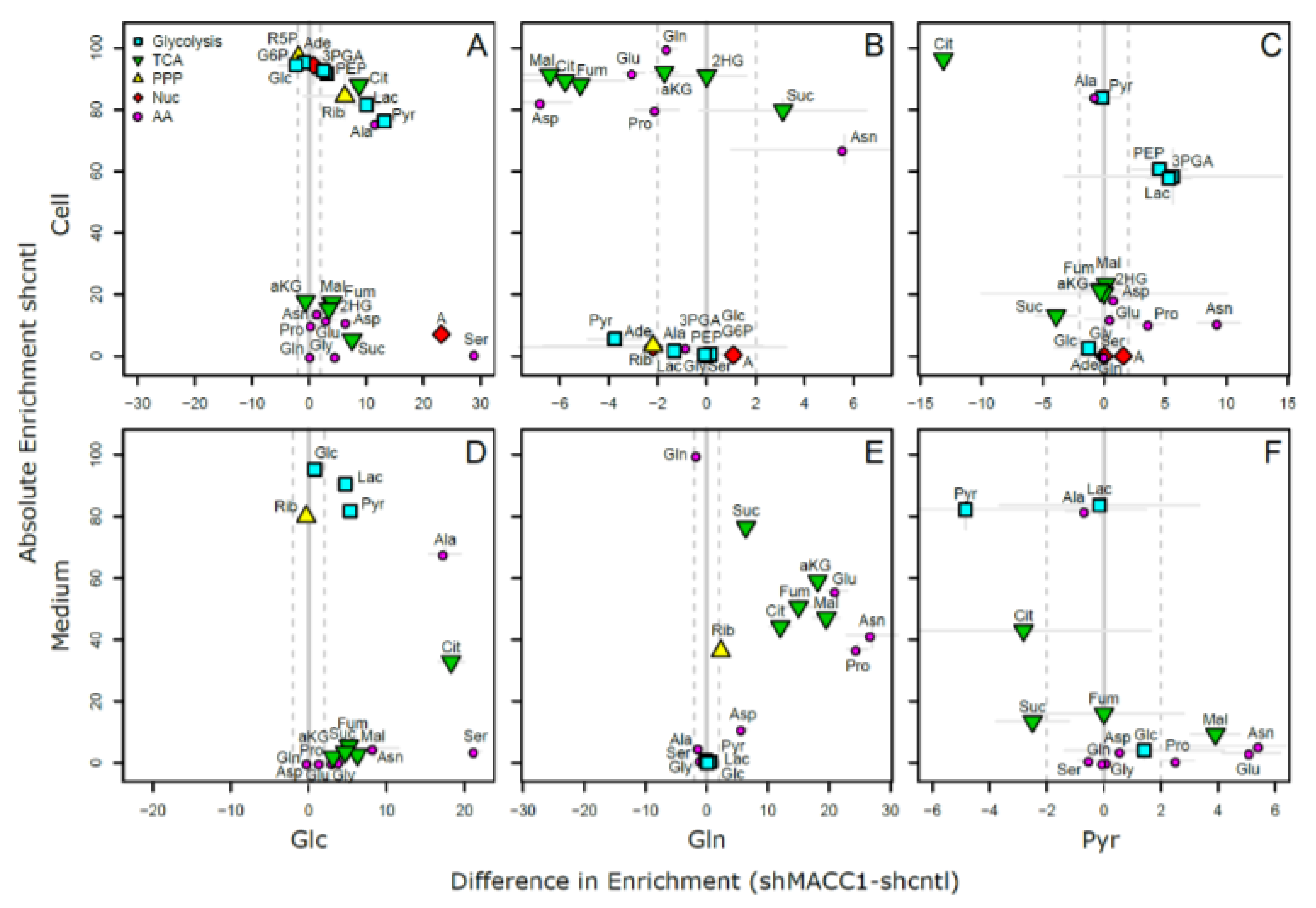 Cancers 13 00978 g007