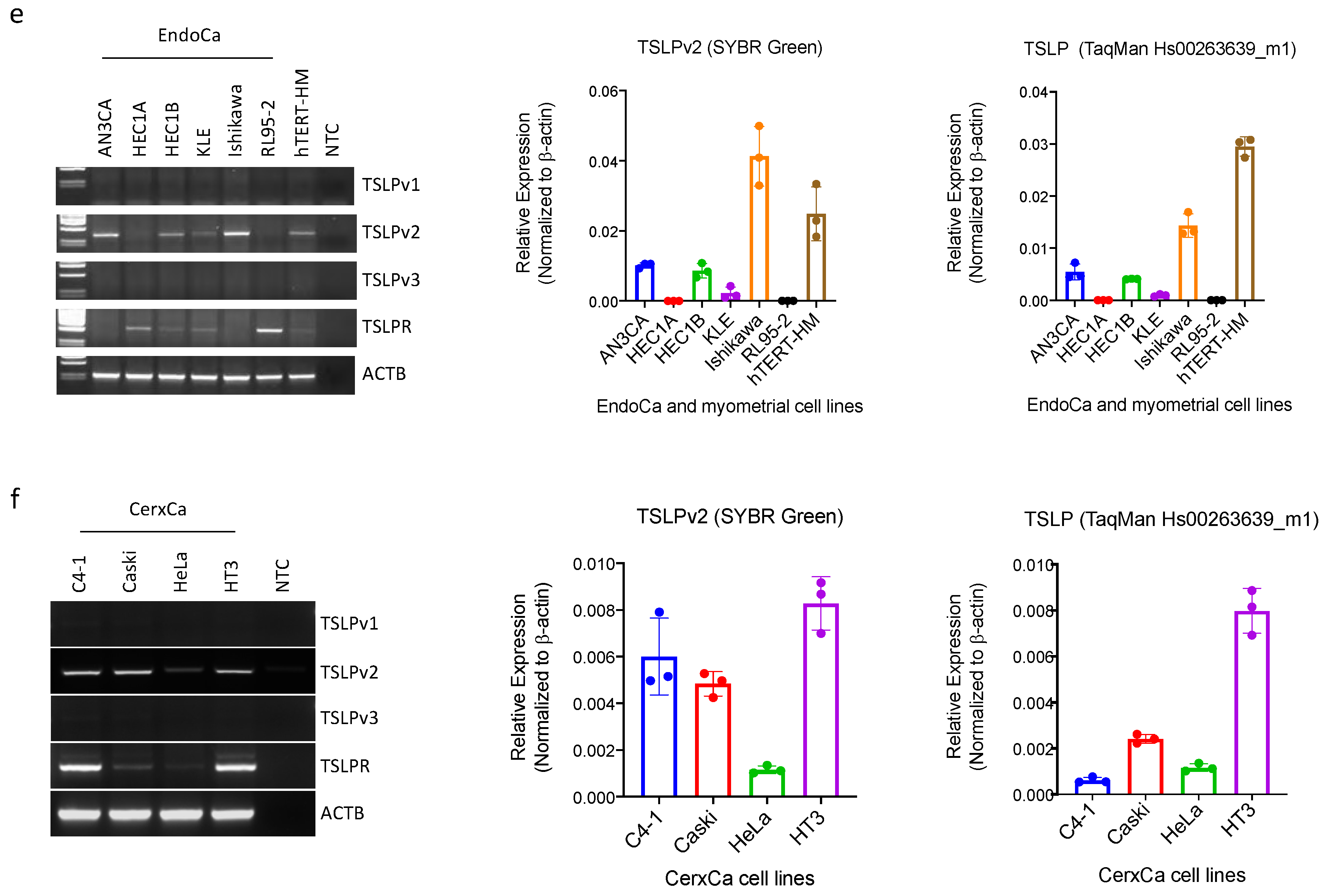 Cancers 13 00980 g001b Cancers 13 00980 g001b