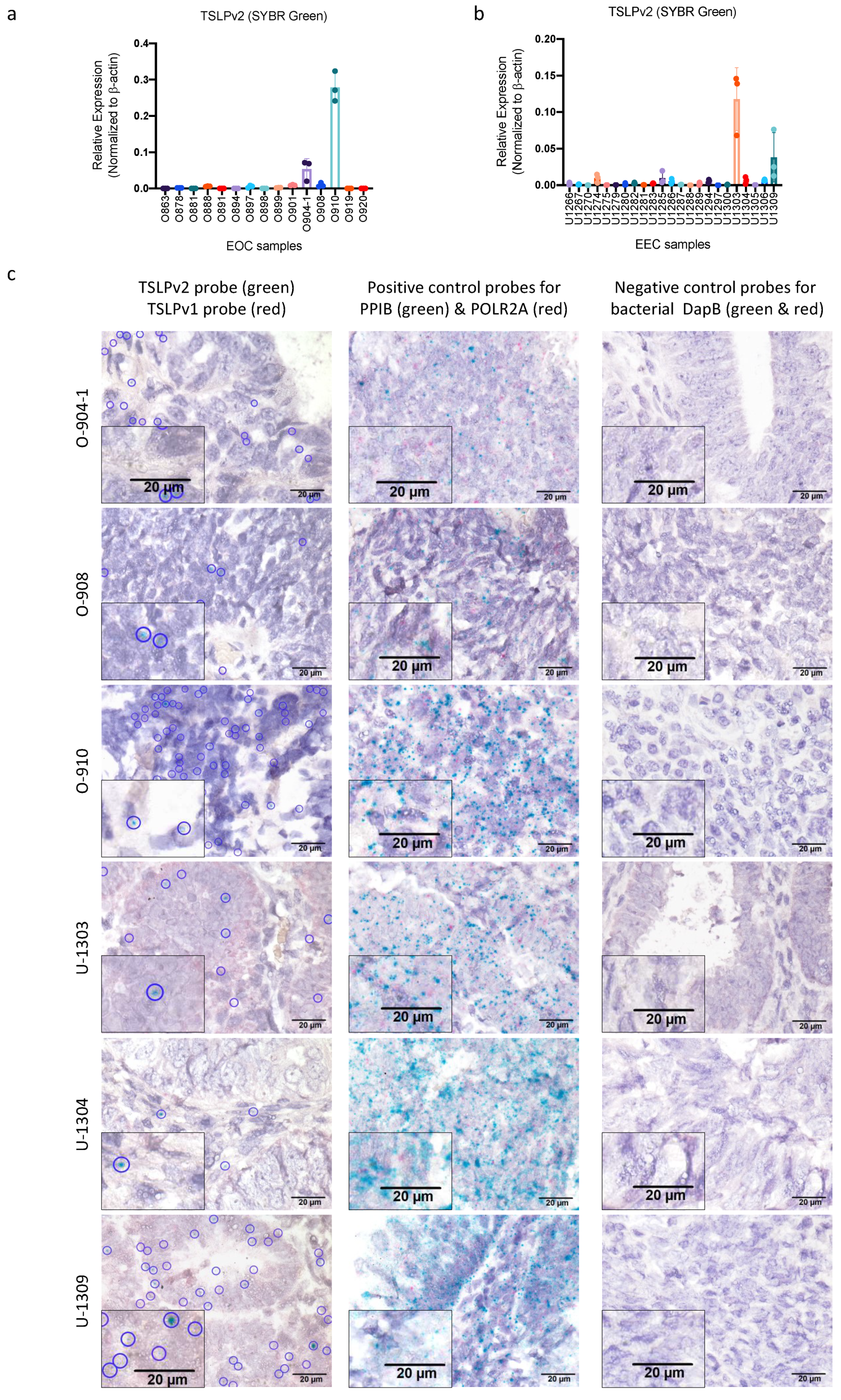 Cancers 13 00980 g002 Cancers 13 00980 g002