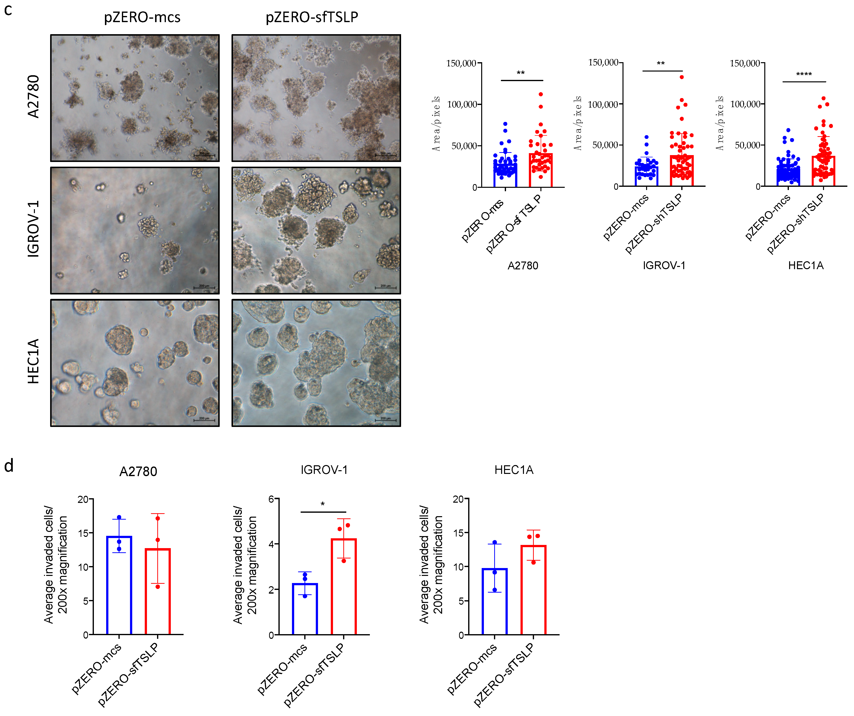 Cancers 13 00980 g004b Cancers 13 00980 g004b