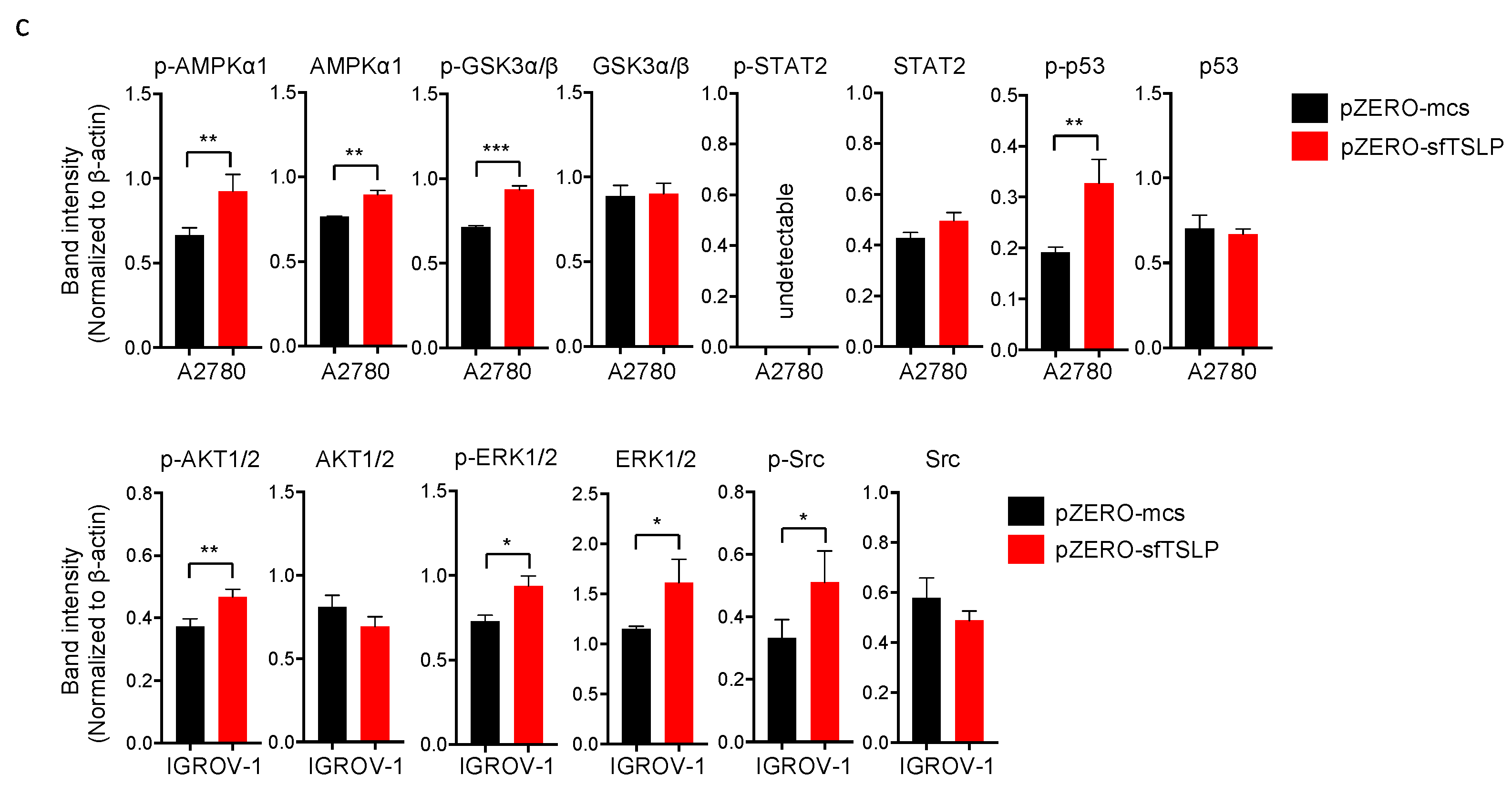 Cancers 13 00980 g005b Cancers 13 00980 g005b
