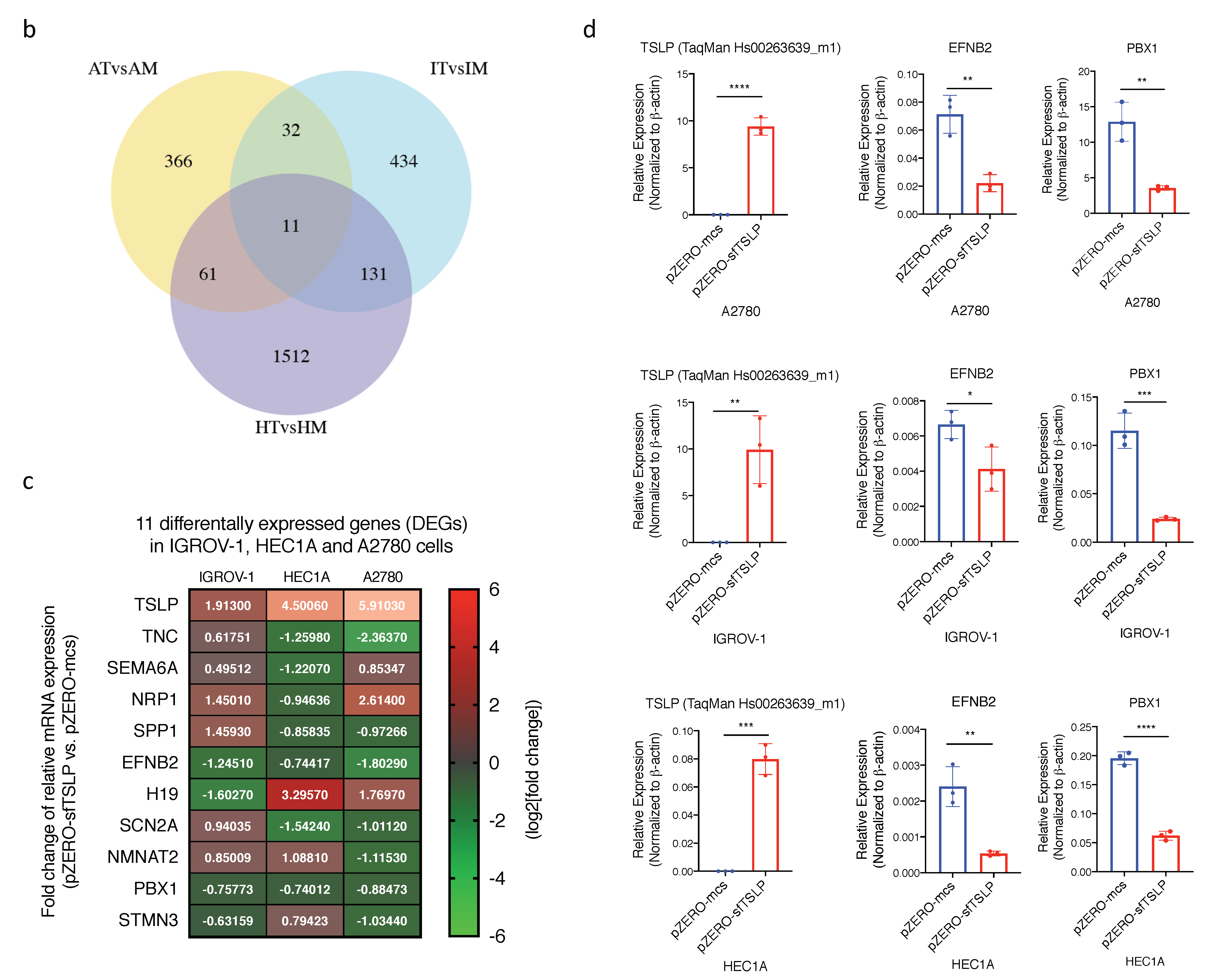 Cancers 13 00980 g006b Cancers 13 00980 g006b