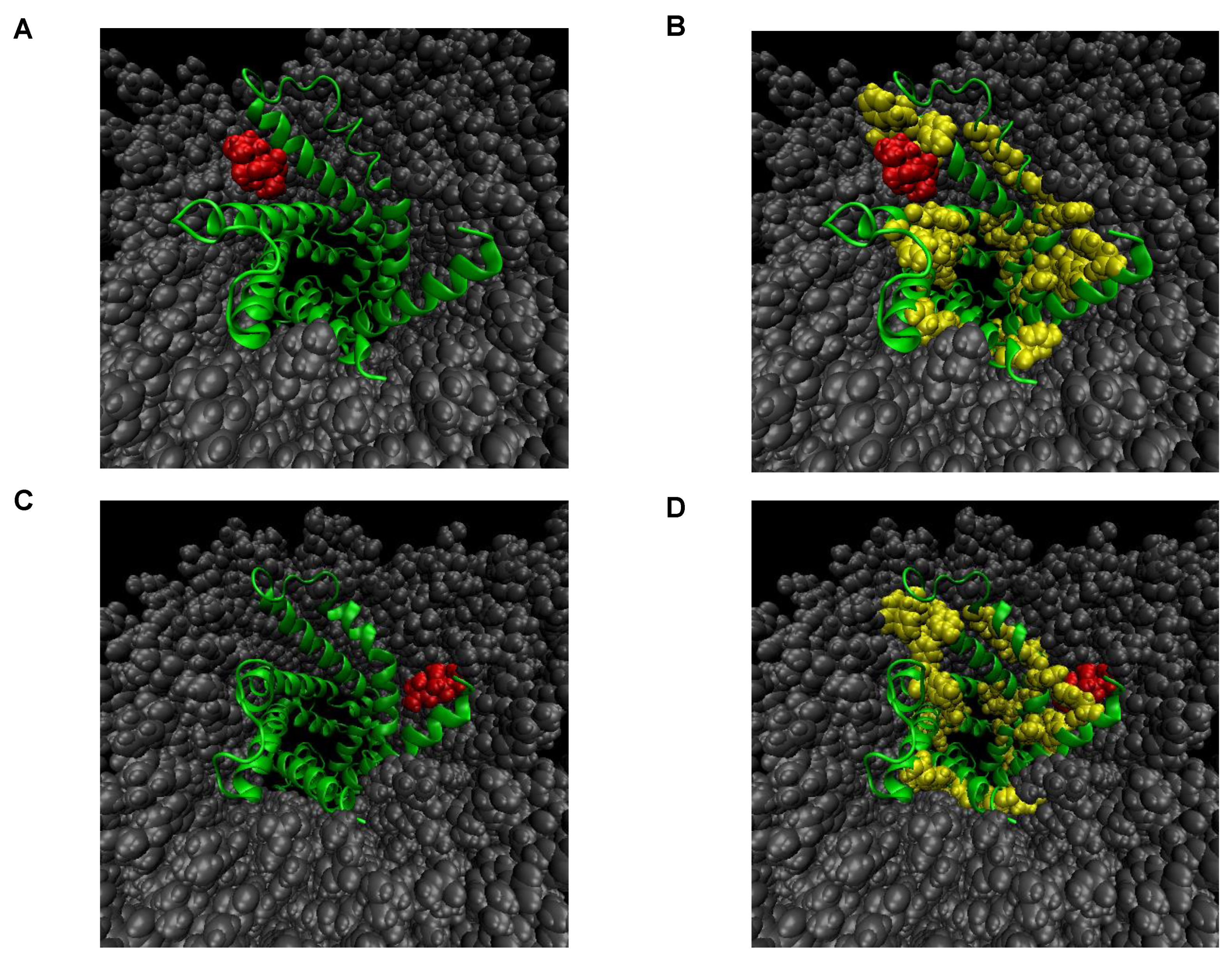 Cancers 13 00982 g004 Cancers 13 00982 g004