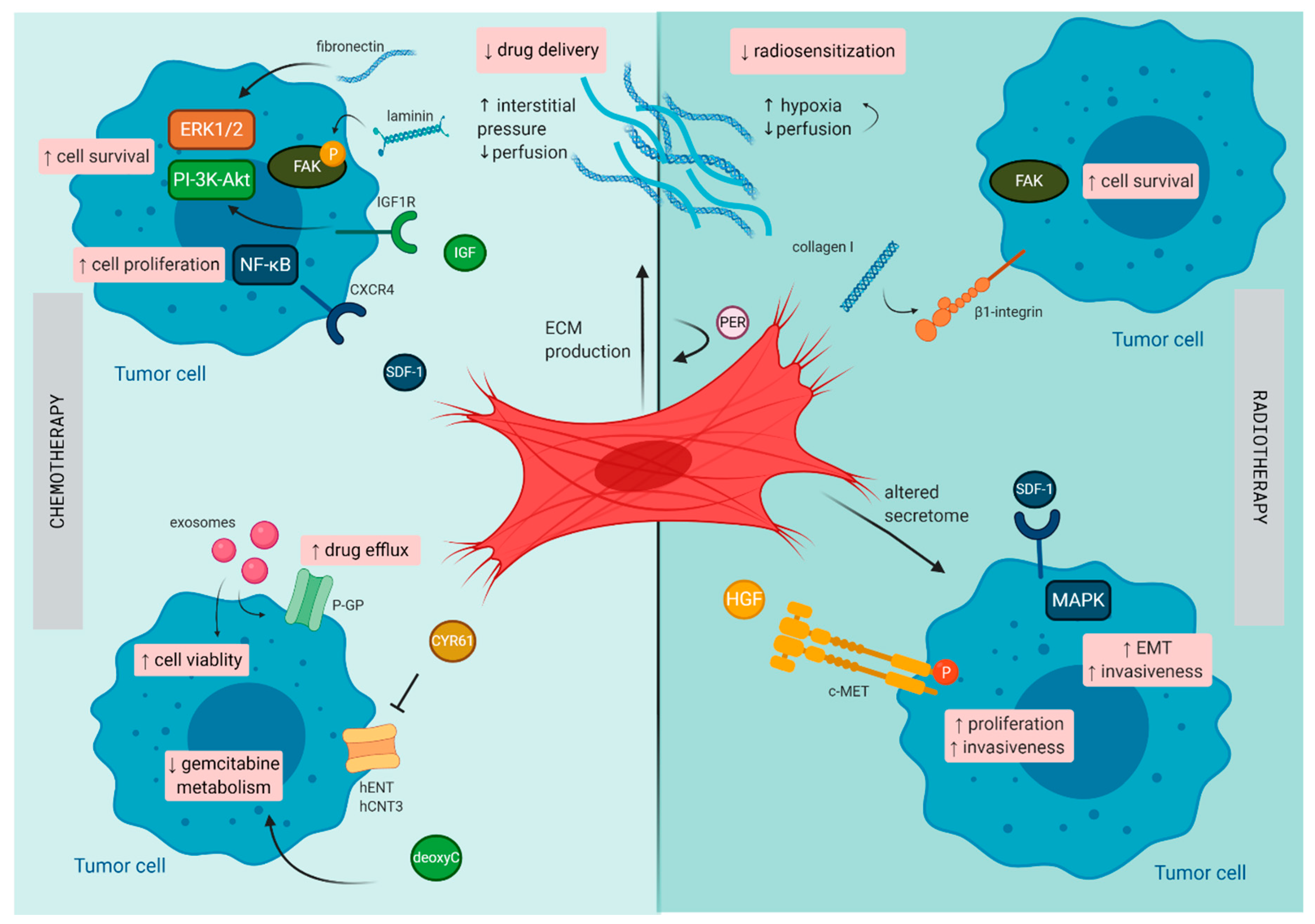 Cancers 13 00987 g002 Cancers 13 00987 g002