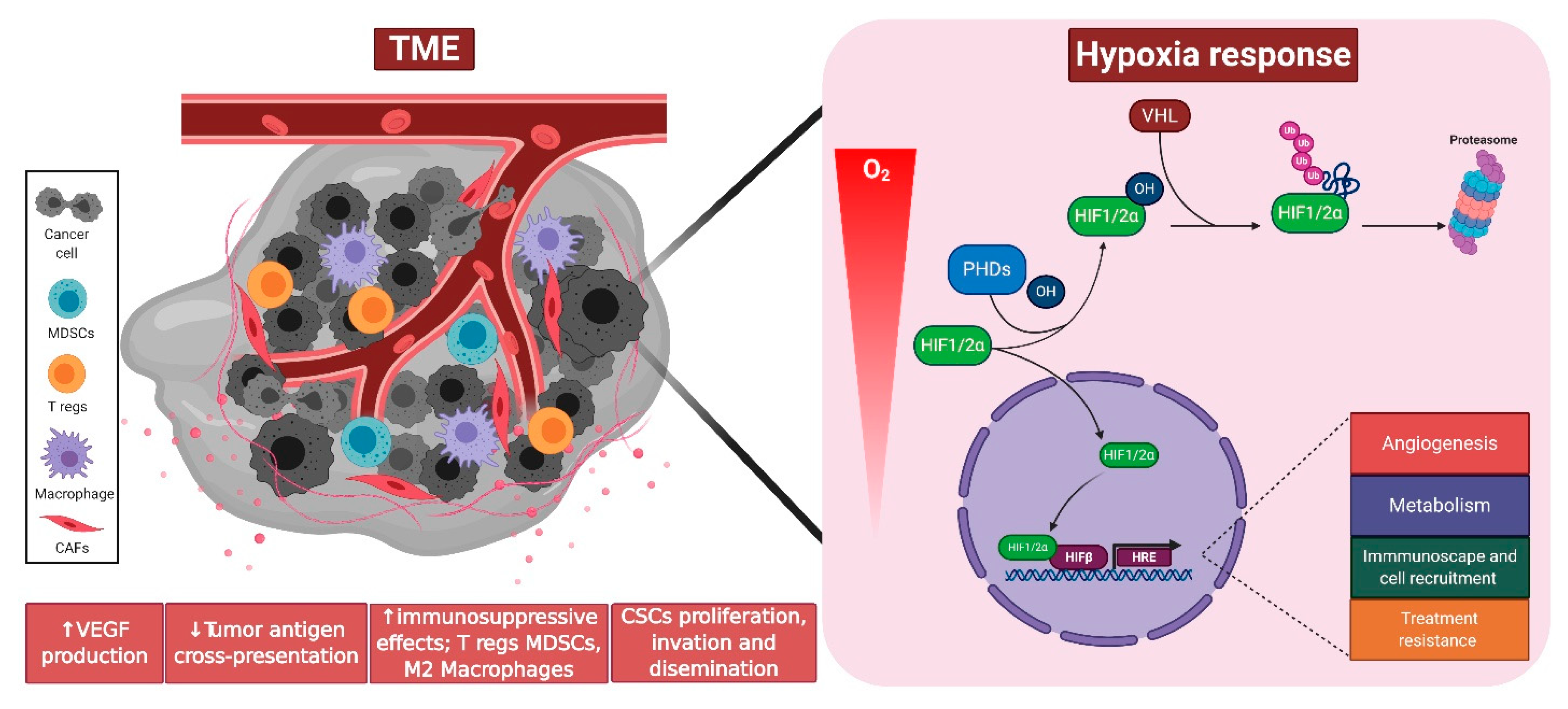 Cancers 13 00988 g001 Cancers 13 00988 g001