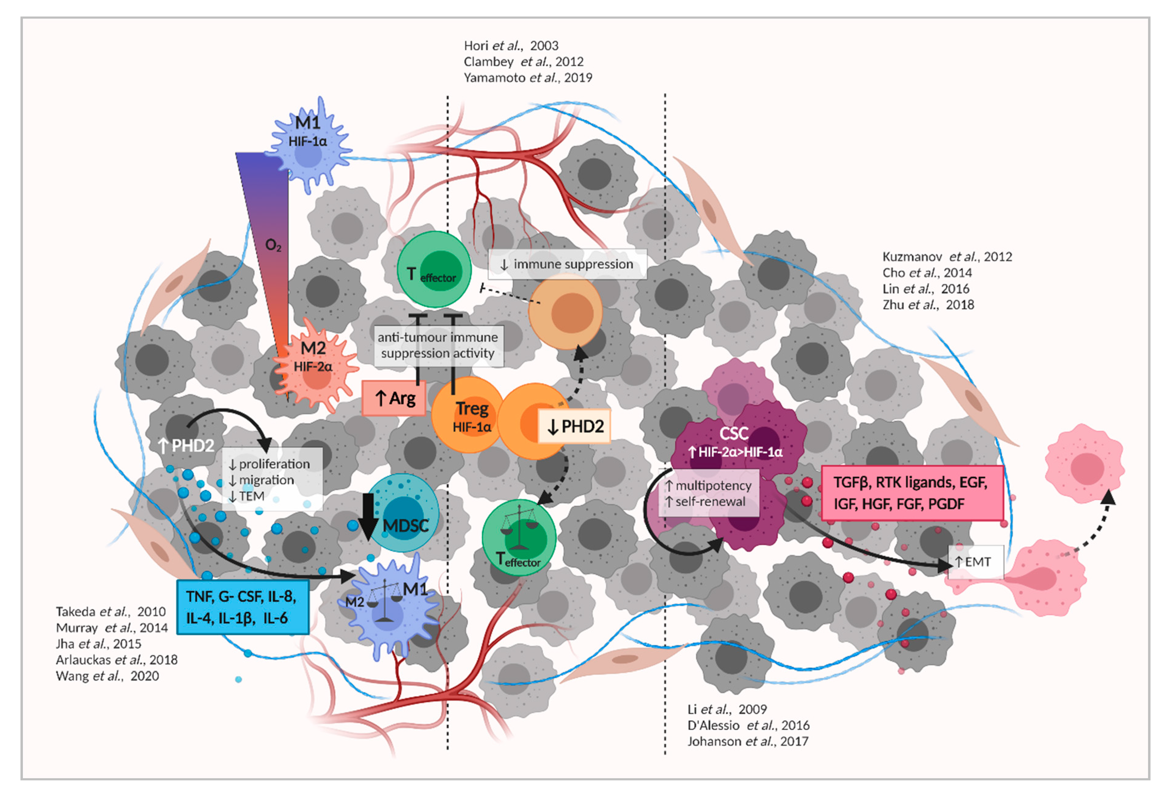 Cancers 13 00988 g002 Cancers 13 00988 g002