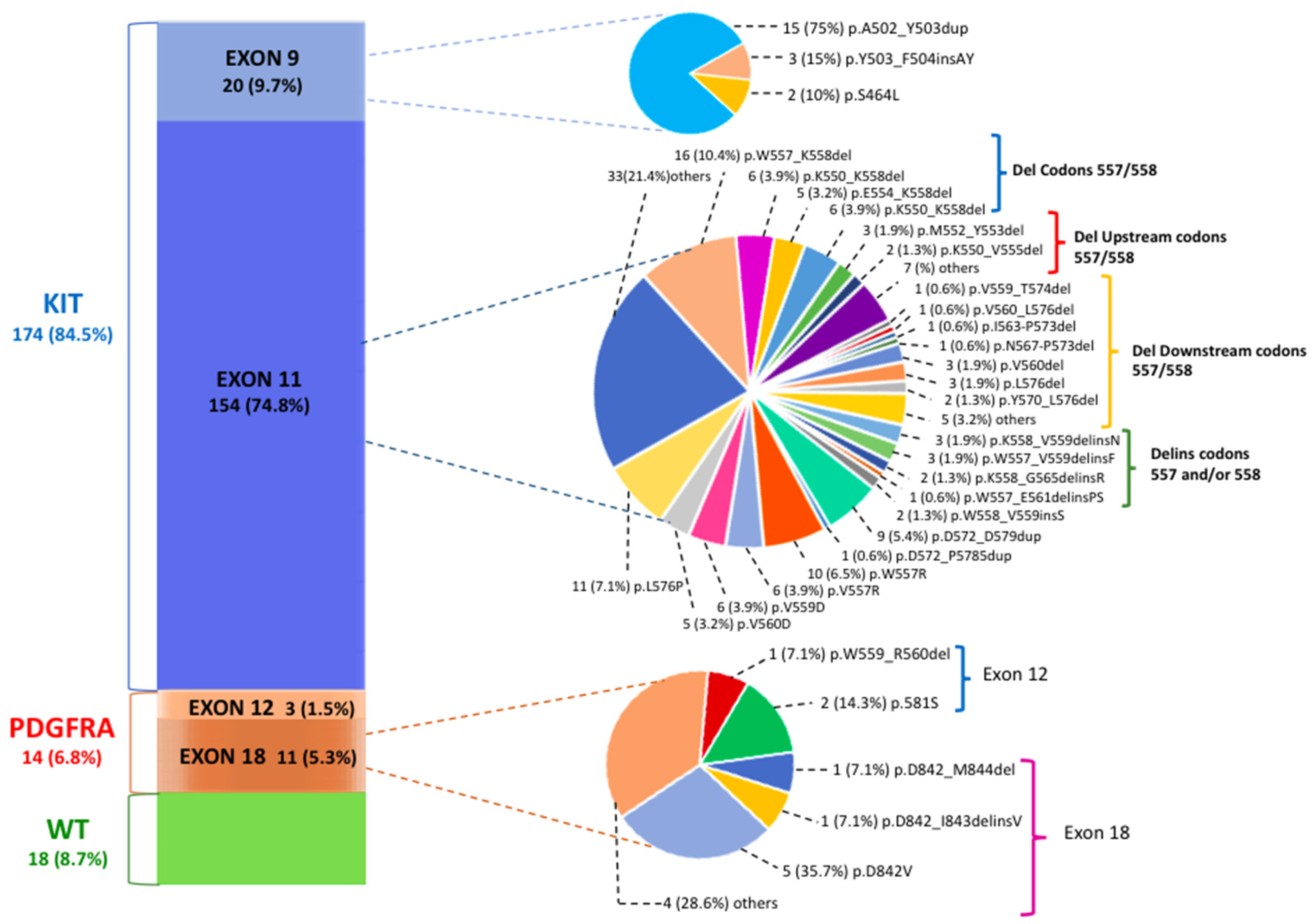 Type and Gene Location of KIT Mutations Predict Progression