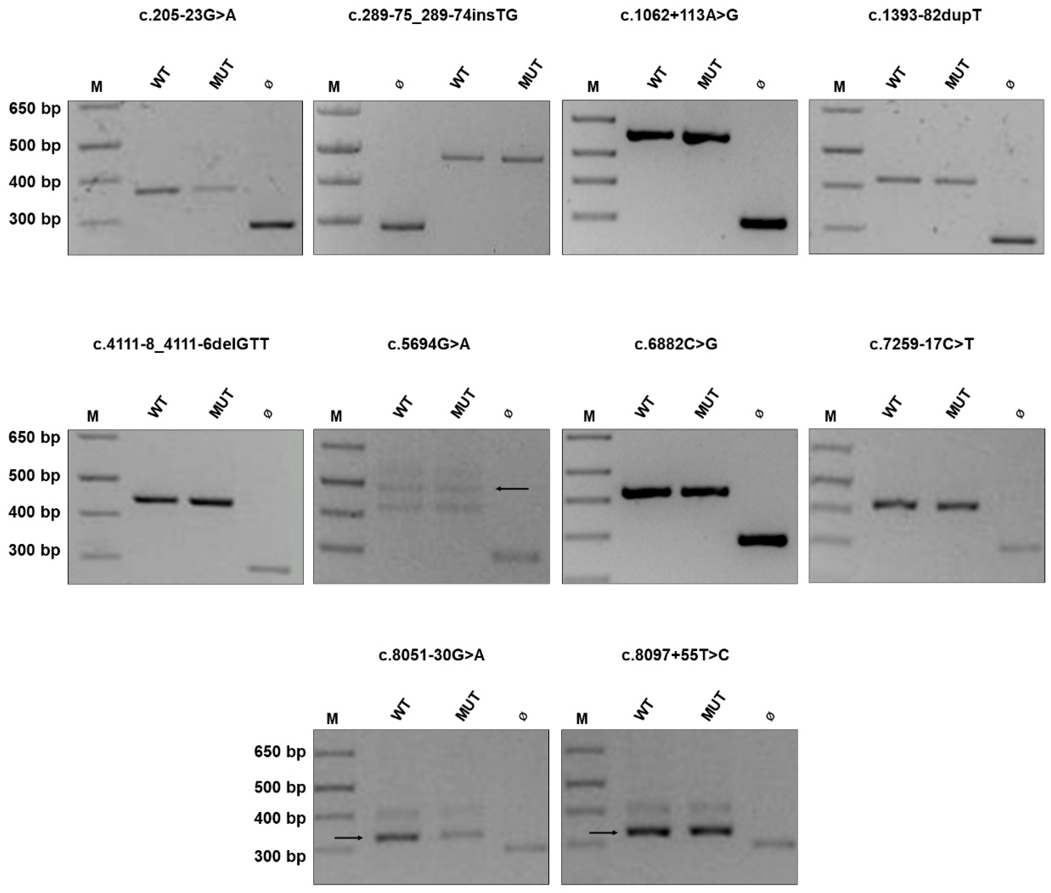 Cancers 13 00999 g001 Cancers 13 00999 g001