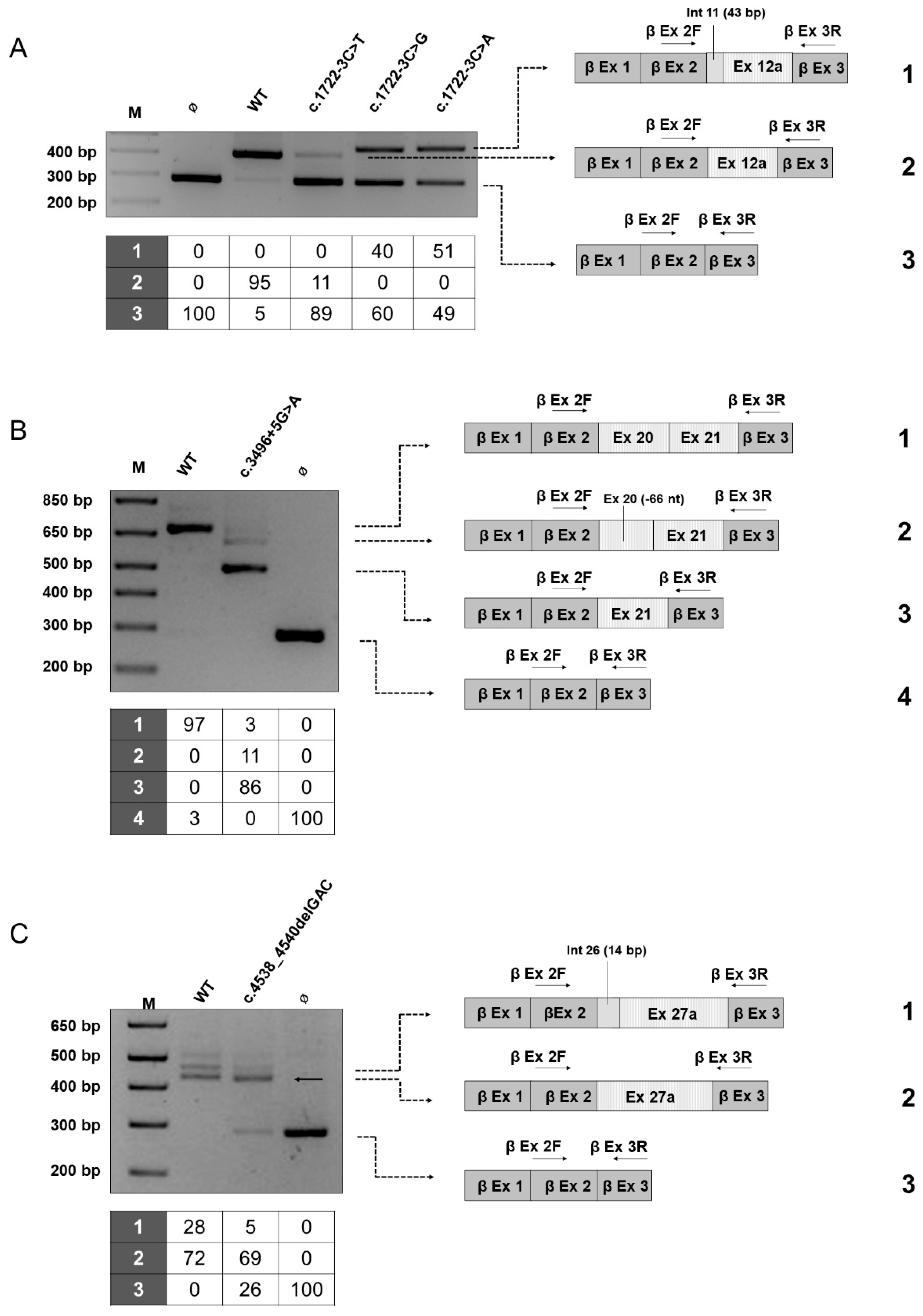 Cancers 13 00999 g003 Cancers 13 00999 g003