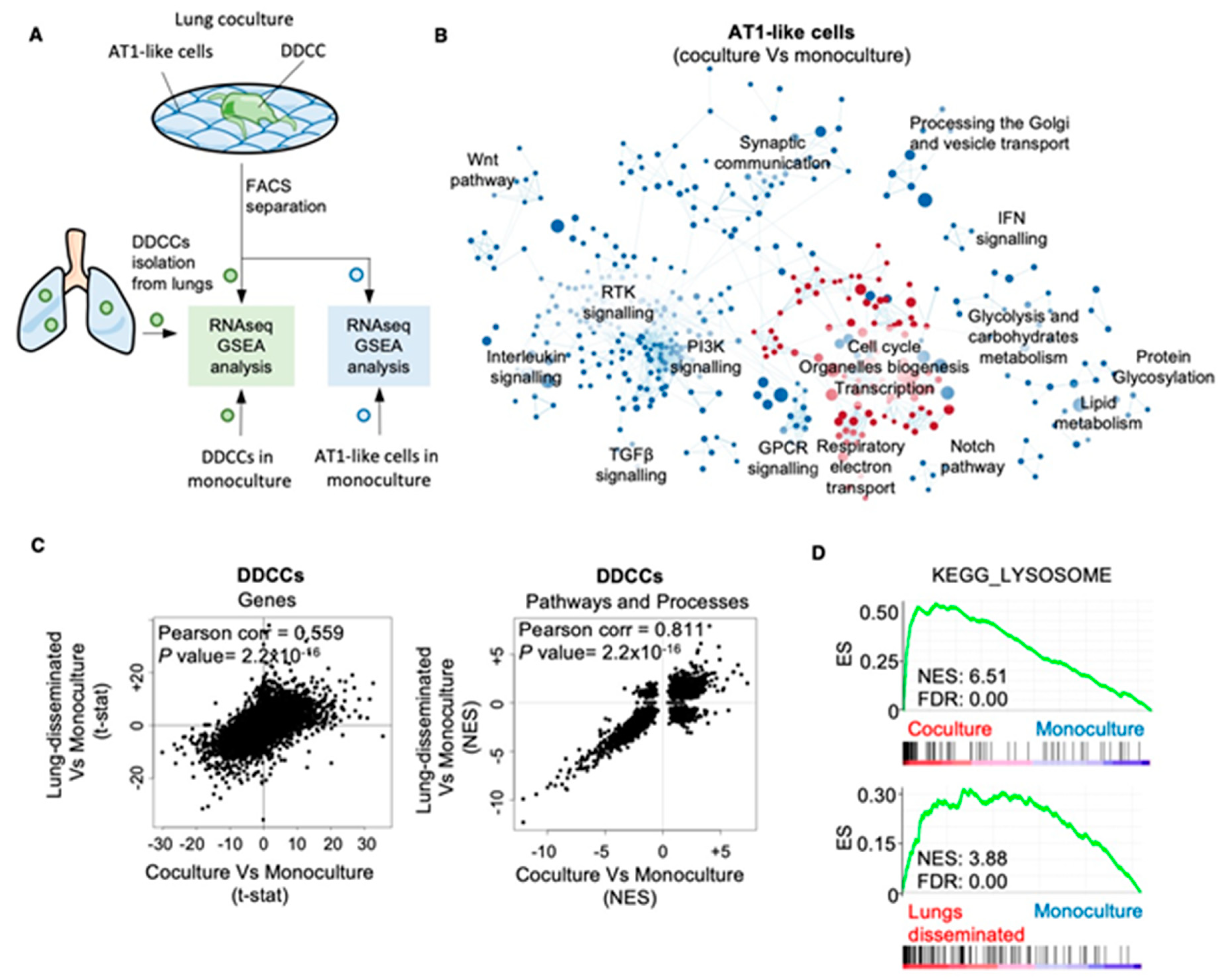 Cancers 13 01007 g001