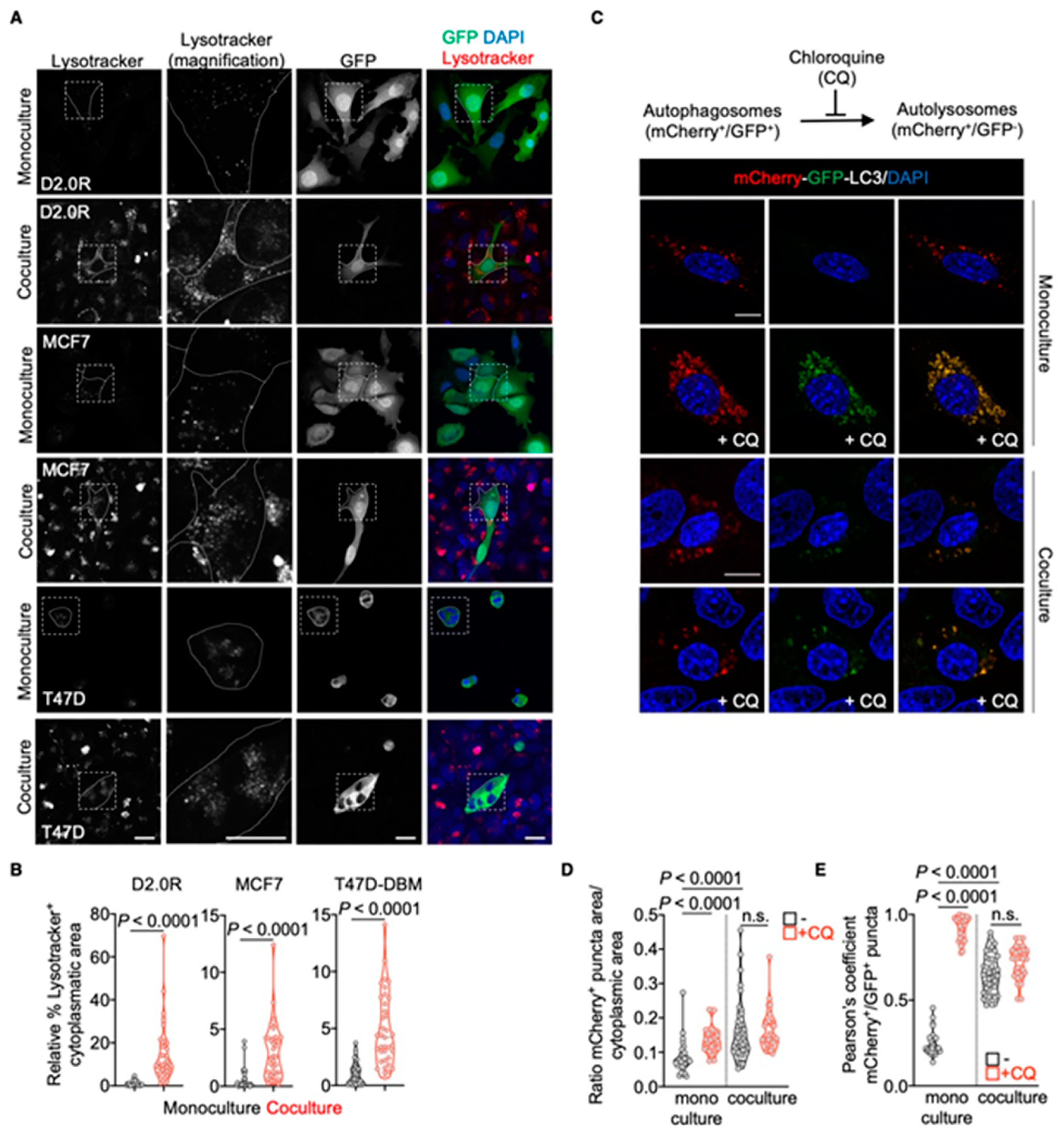 Cancers 13 01007 g002