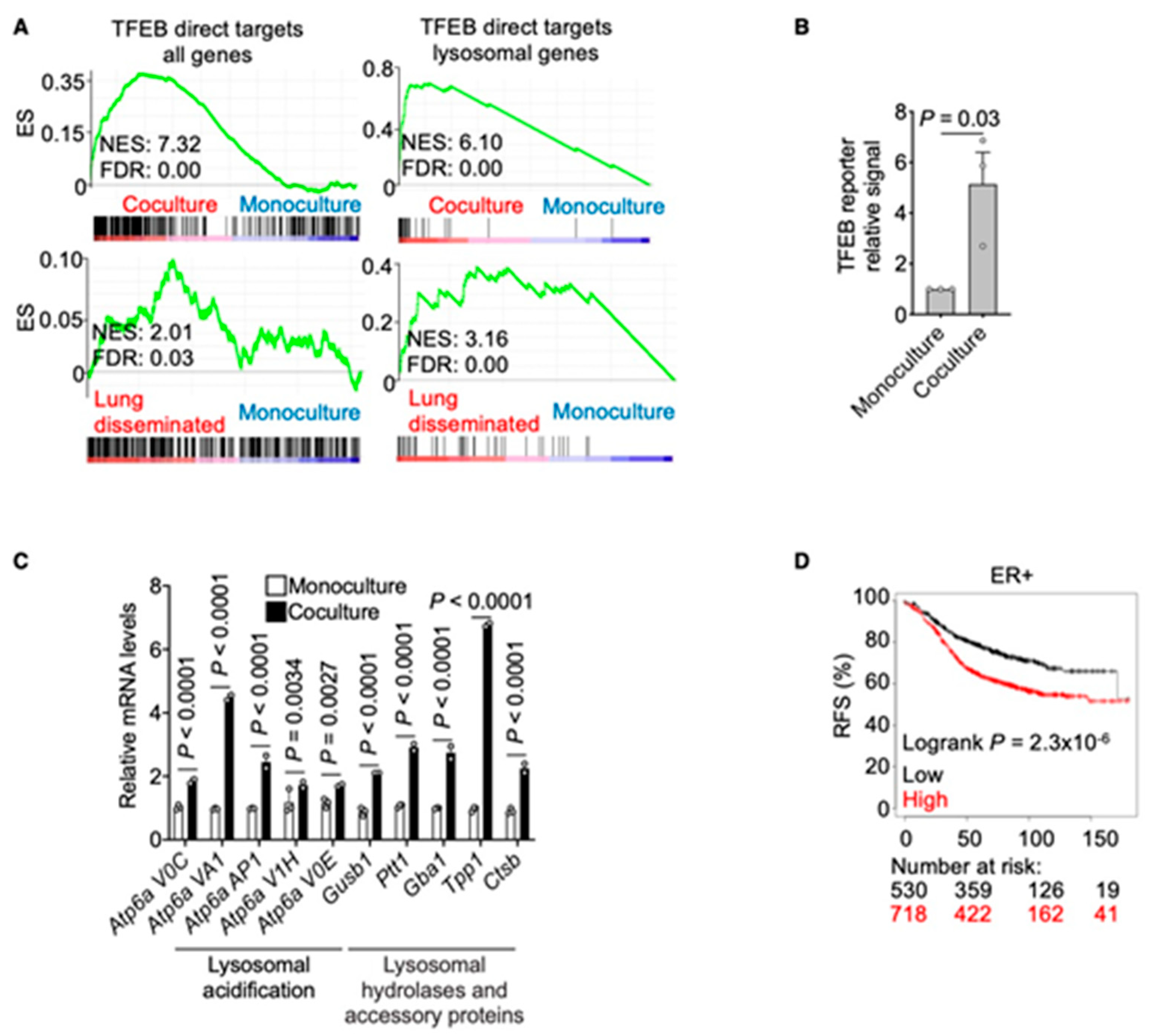 Cancers 13 01007 g004