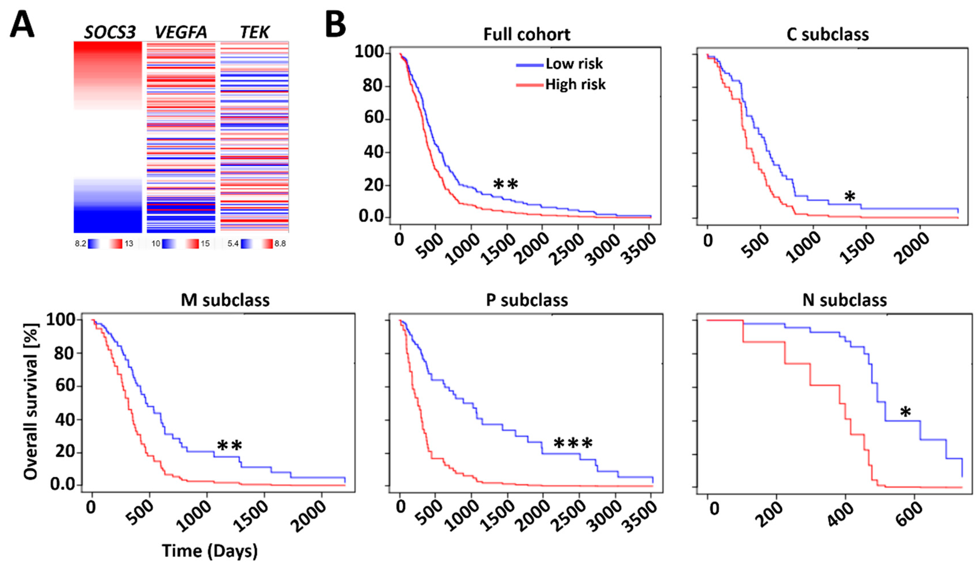 Cancers 13 01013 g003 Cancers 13 01013 g003
