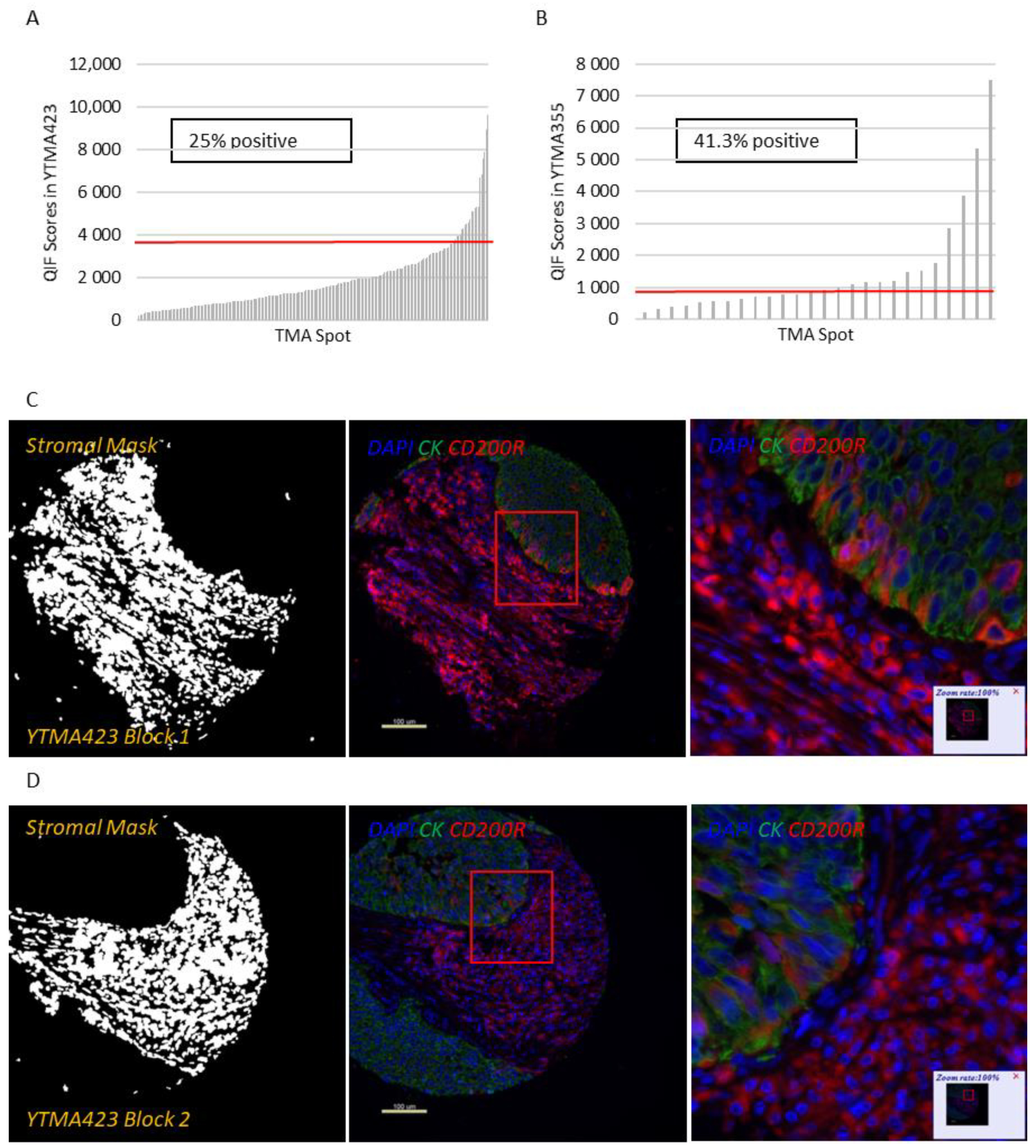 Cancers 13 01024 g002a