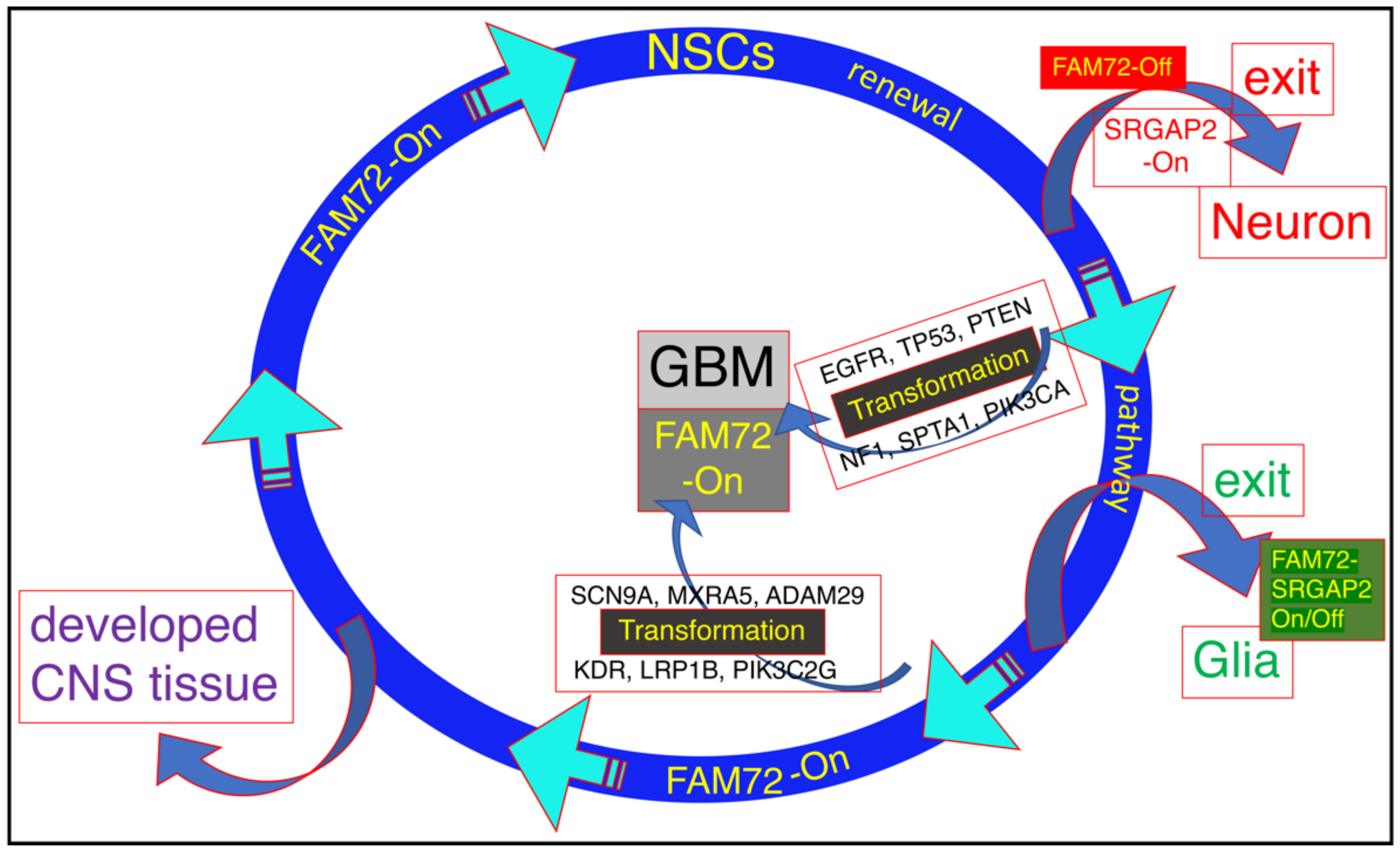 Cancers 13 01025 g002 Cancers 13 01025 g002
