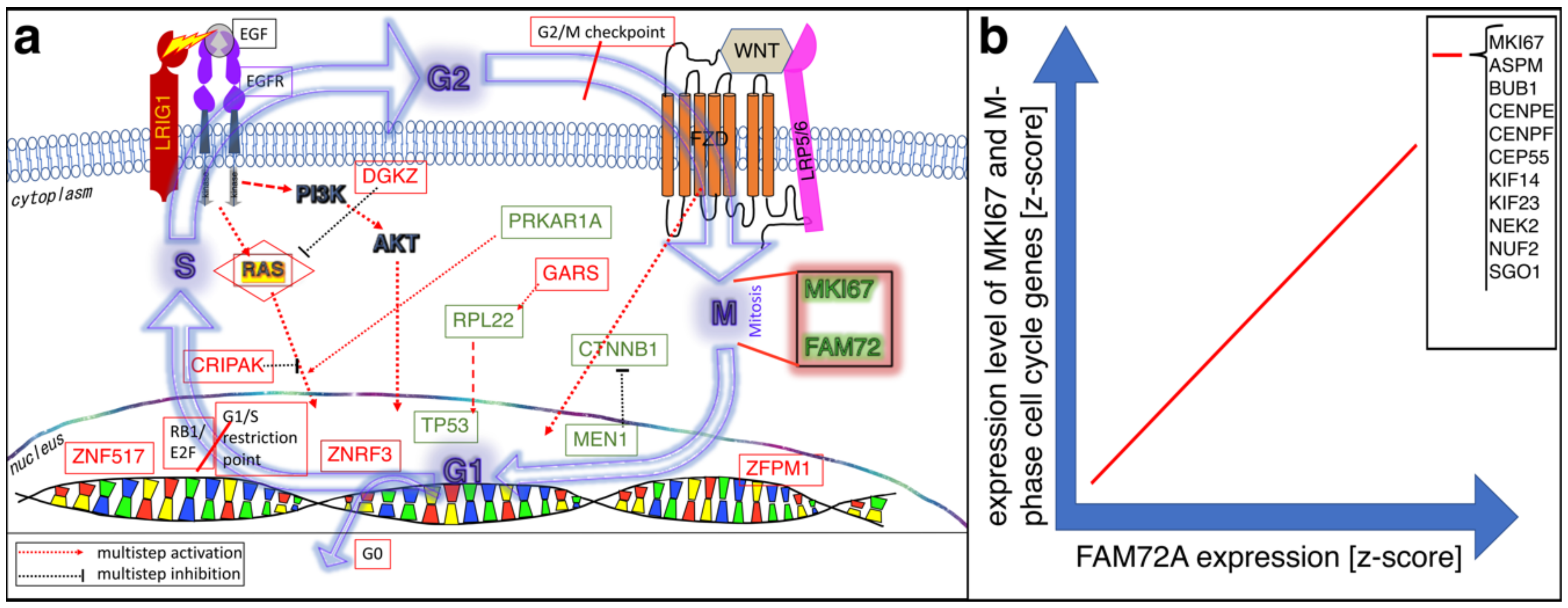 Cancers 13 01025 g003 Cancers 13 01025 g003