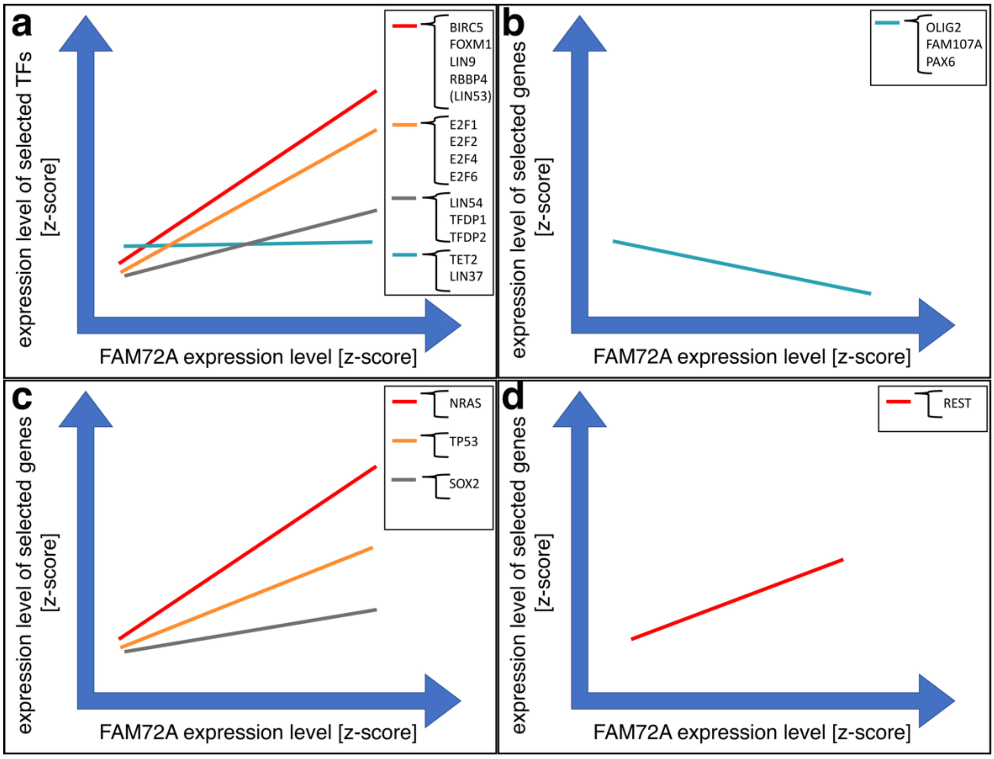 Cancers 13 01025 g004 Cancers 13 01025 g004
