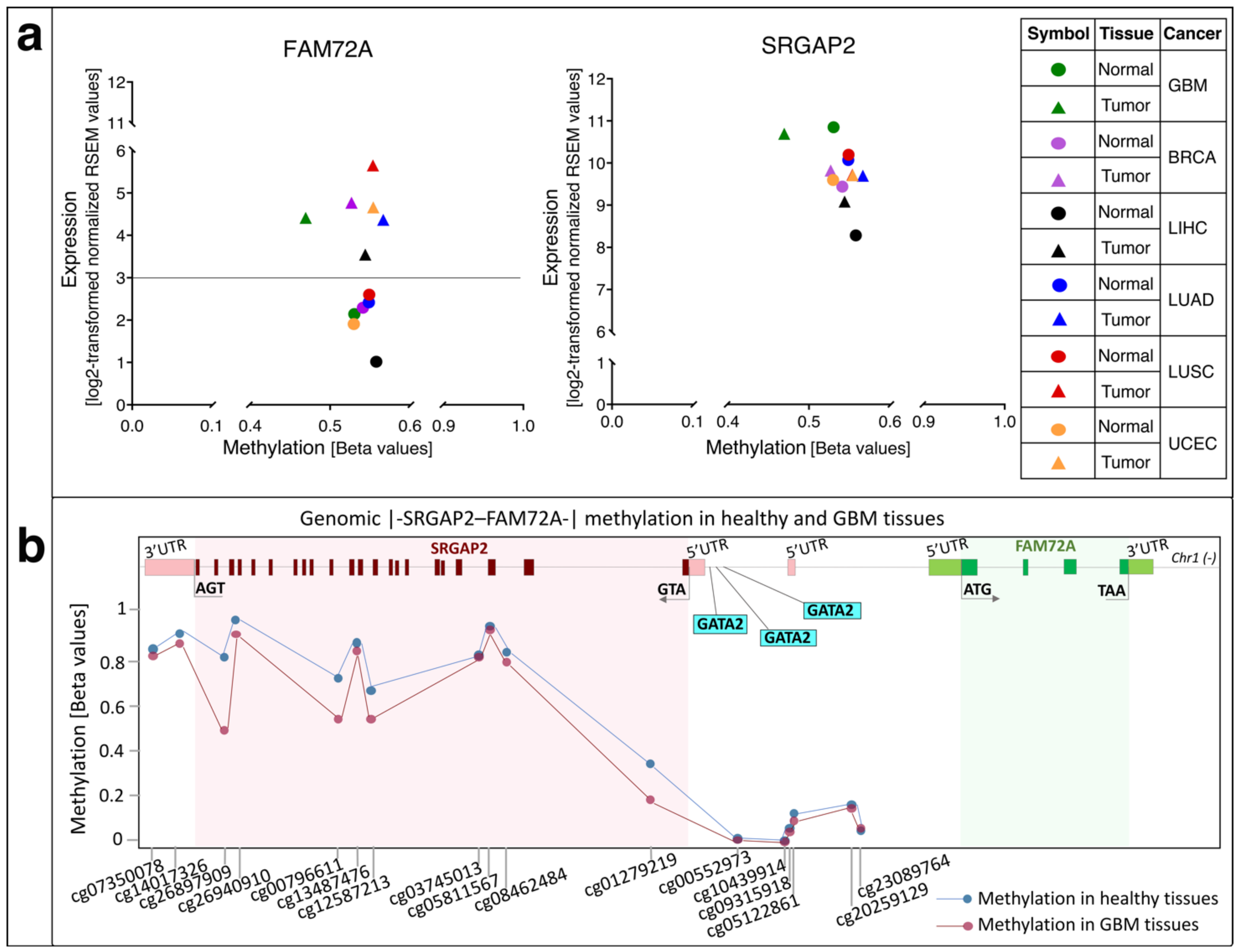 Cancers 13 01025 g008 Cancers 13 01025 g008