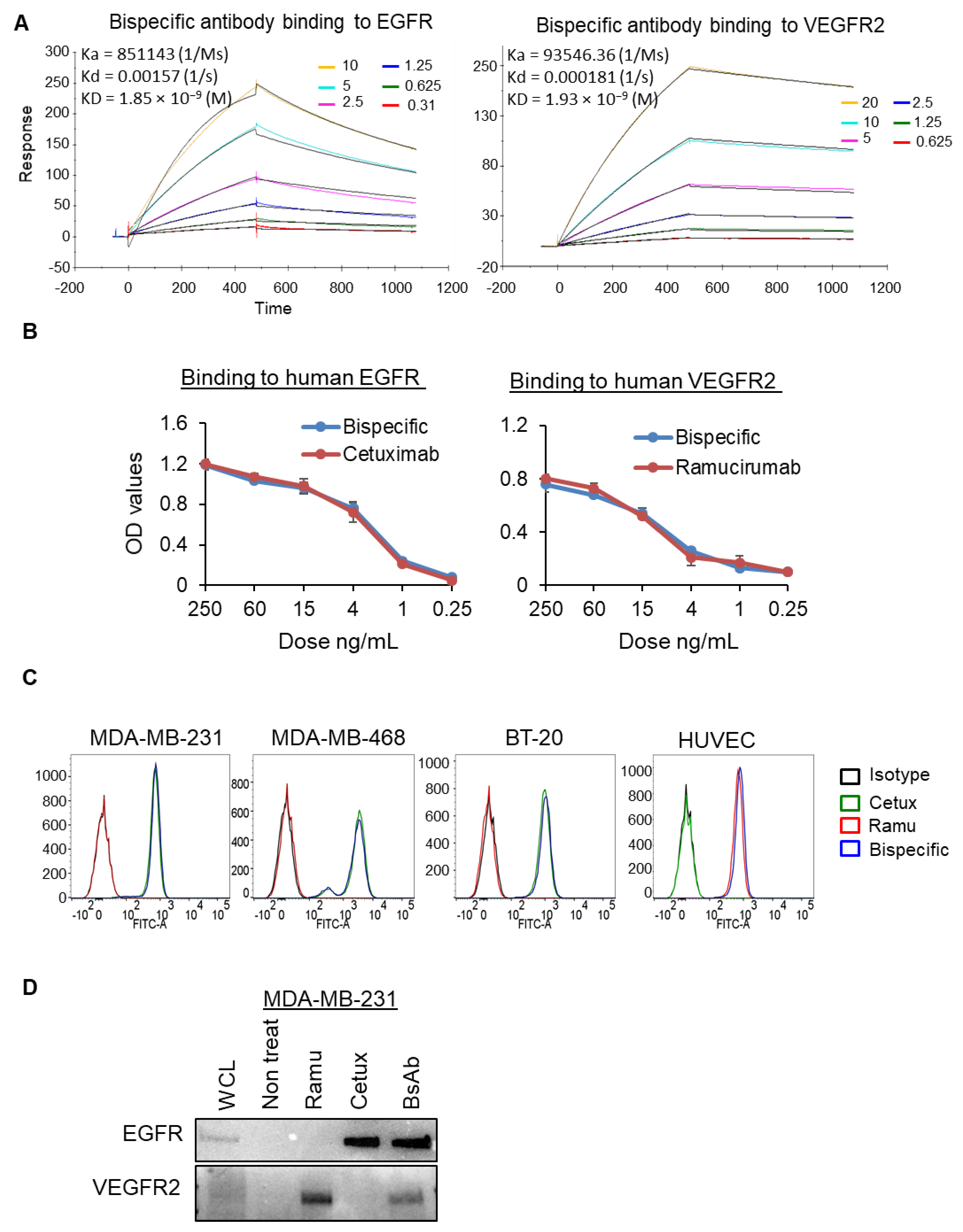 Cancers 13 01027 g002