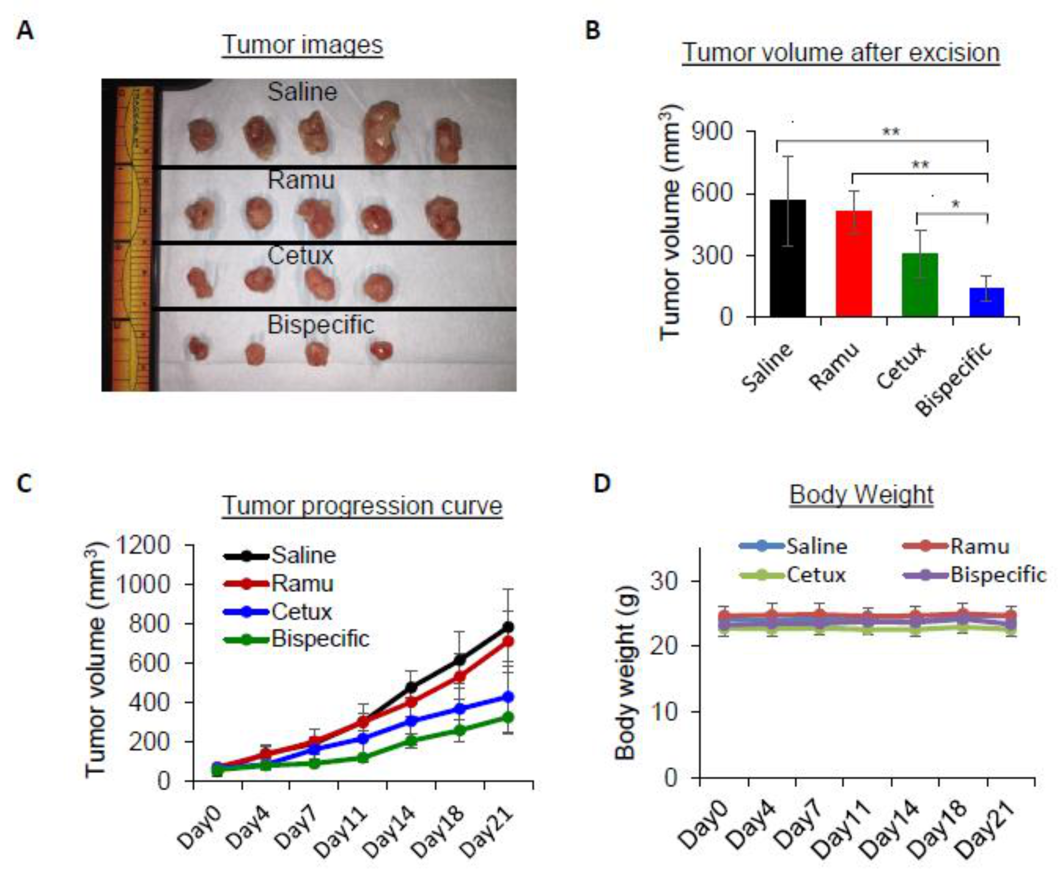Cancers 13 01027 g004