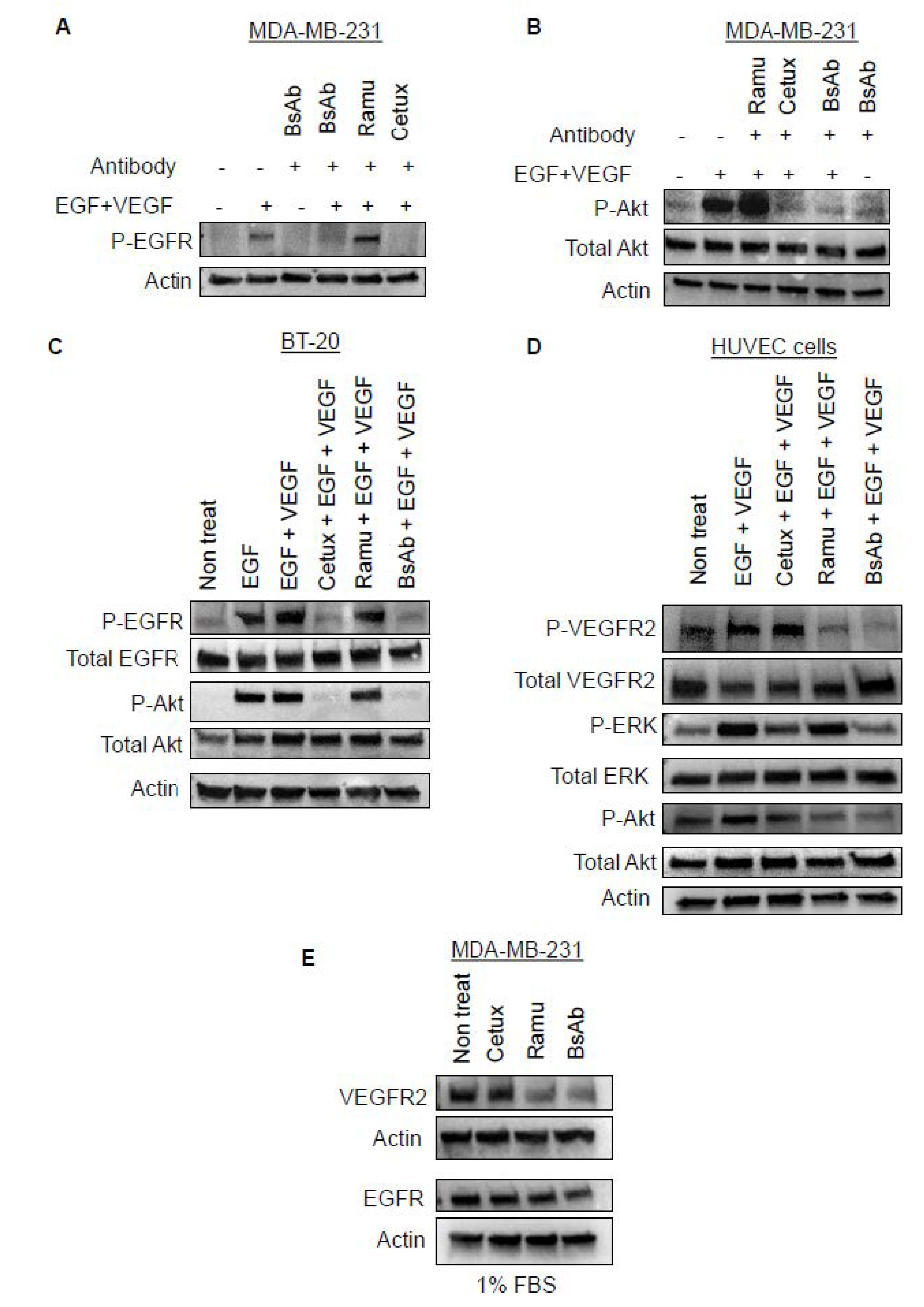 Cancers 13 01027 g005