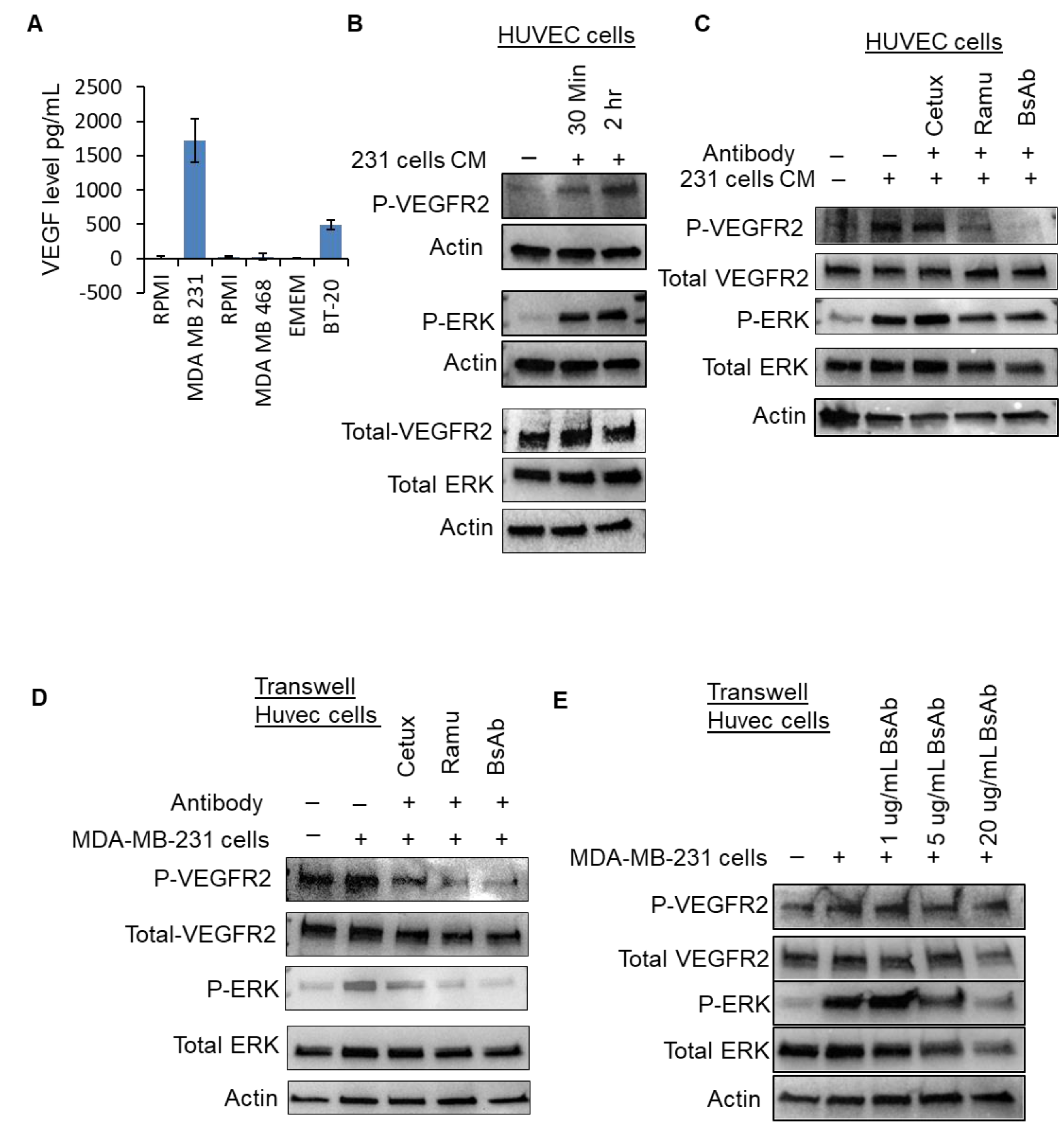 Cancers 13 01027 g006