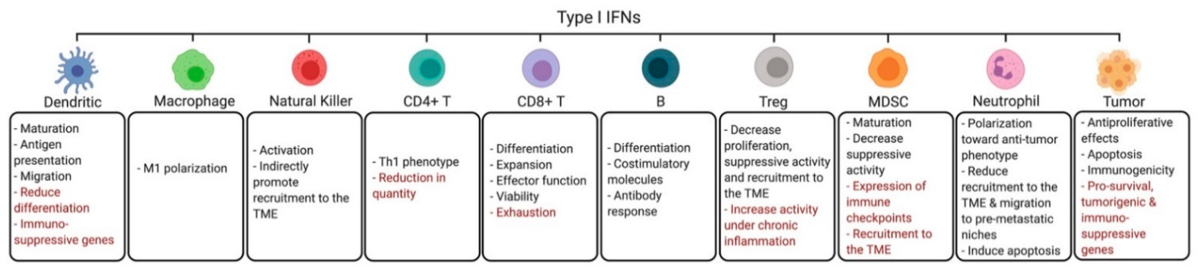Cancers 13 01037 g001 Cancers 13 01037 g001