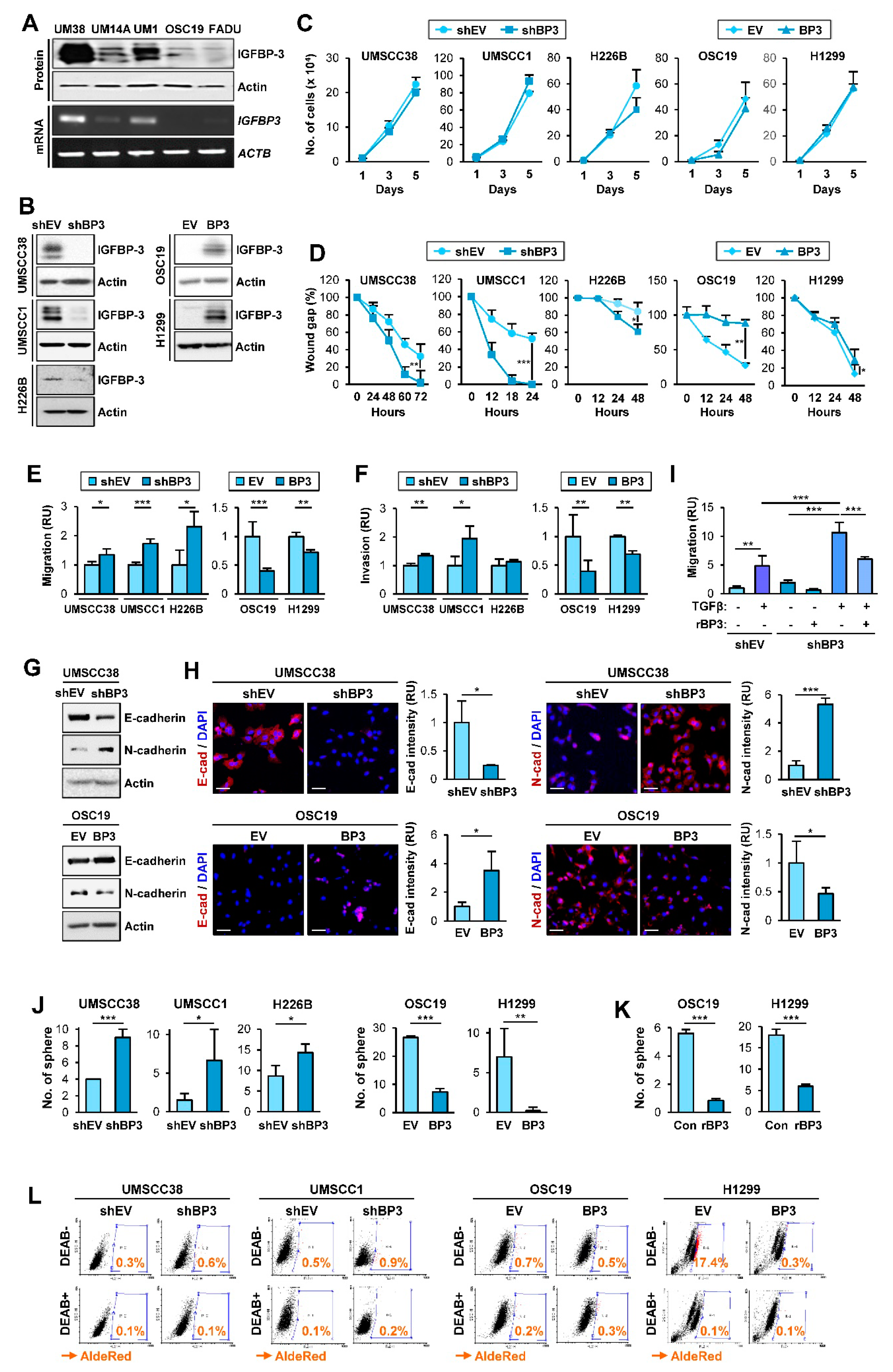 Cancers 13 01041 g001