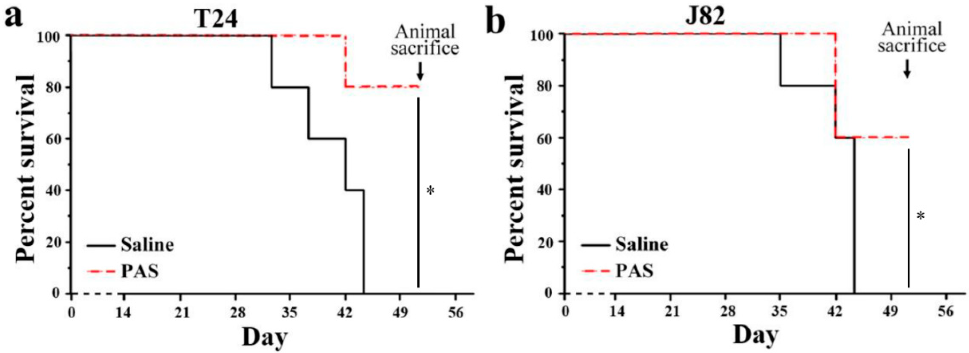 Cancers 13 01042 g004 Cancers 13 01042 g004