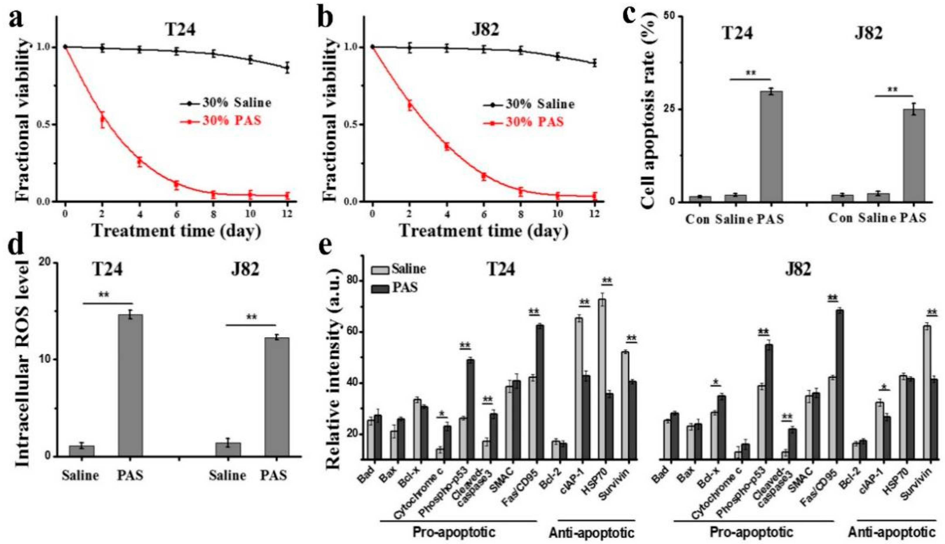 Cancers 13 01042 g005 Cancers 13 01042 g005