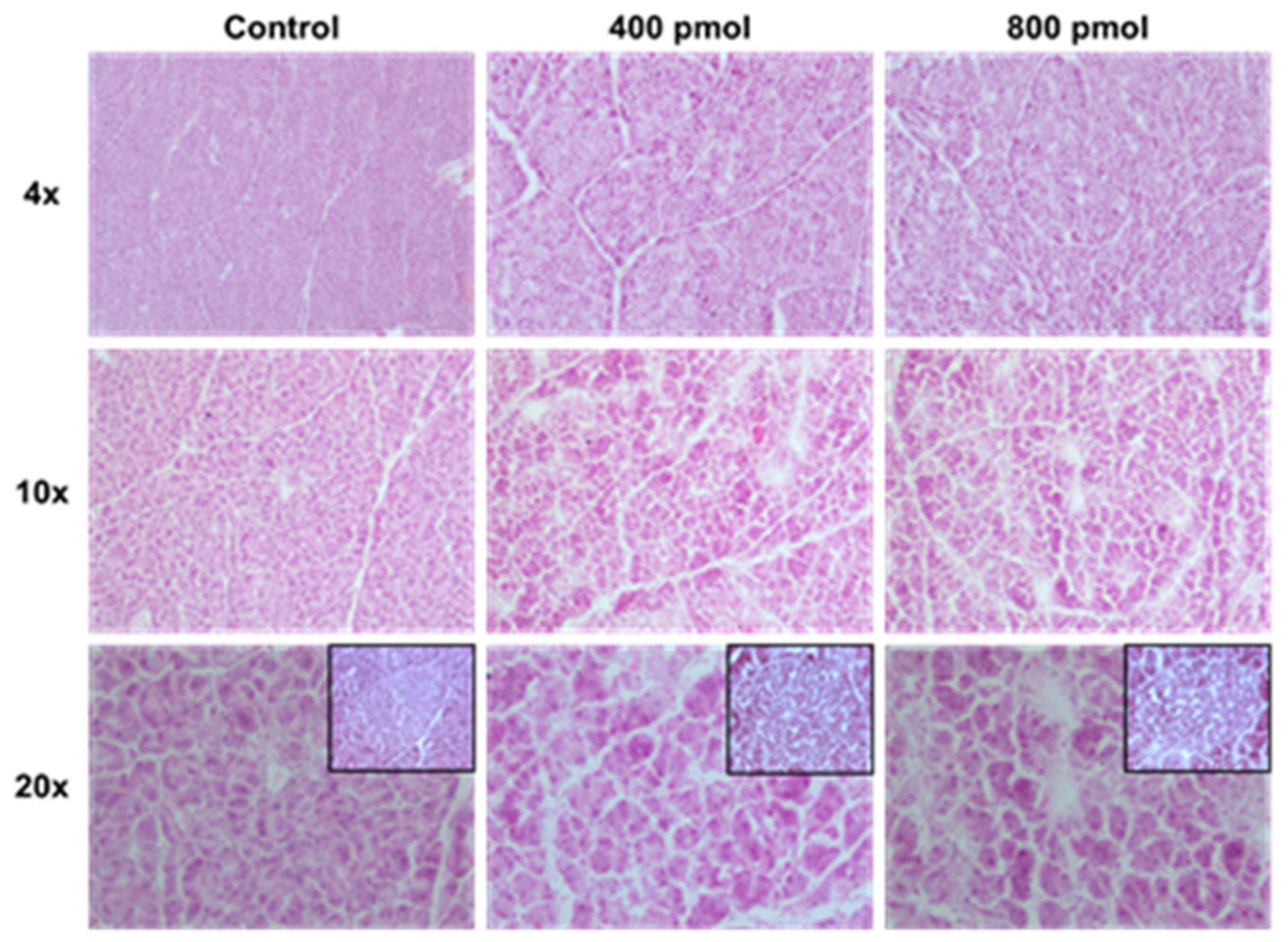 Cancers 13 01051 g005 Cancers 13 01051 g005