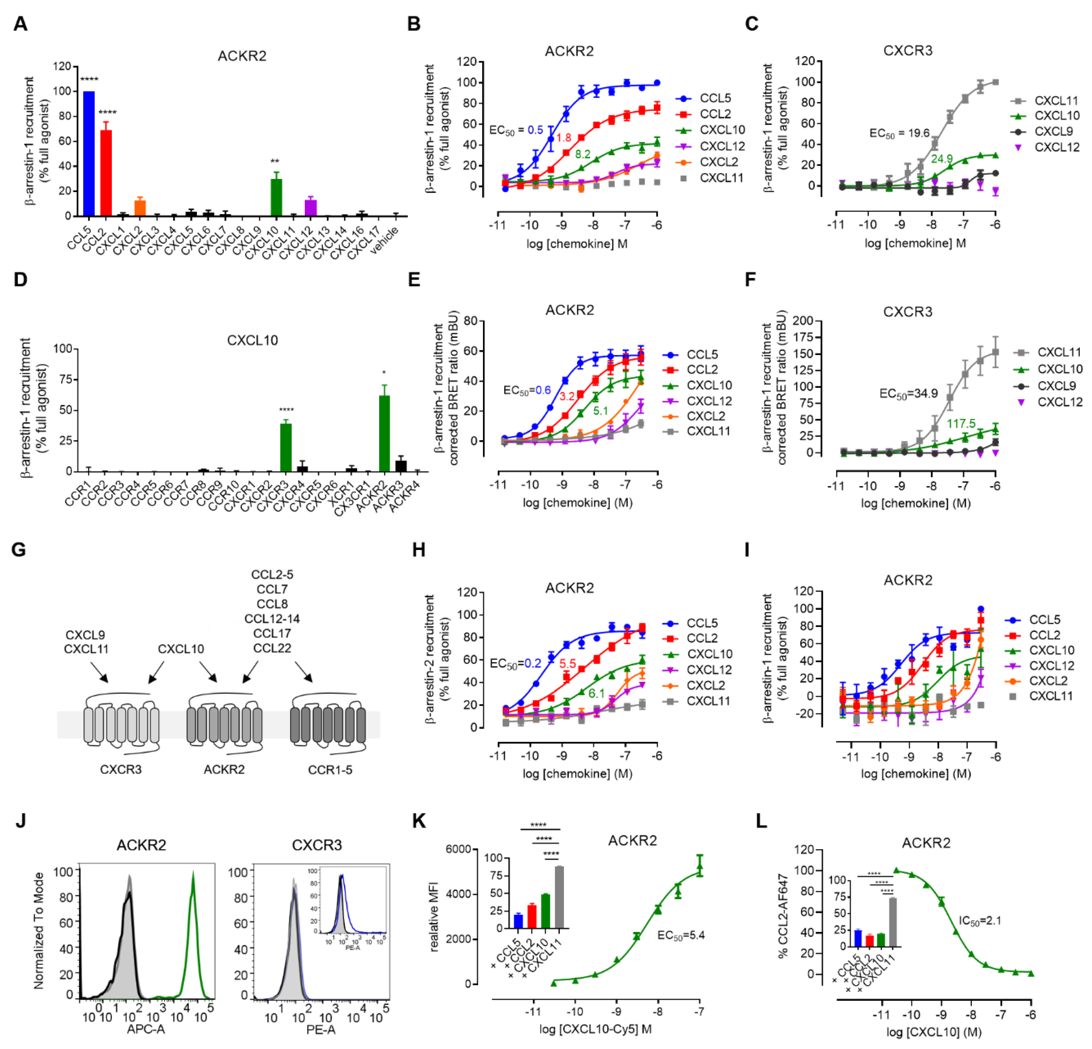 Cancers 13 01054 g001 Cancers 13 01054 g001