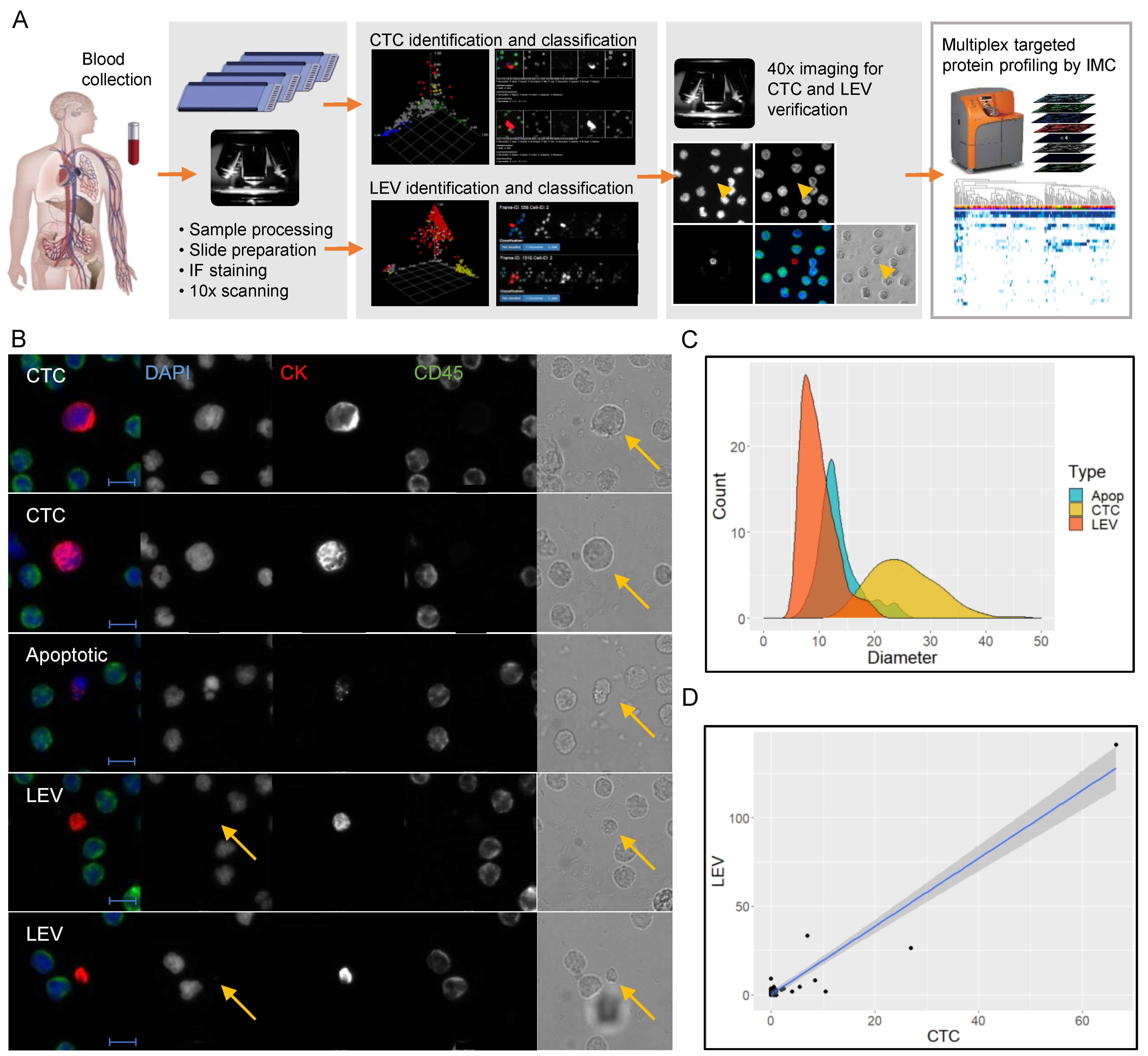Cancers 13 01056 g001a Cancers 13 01056 g001a