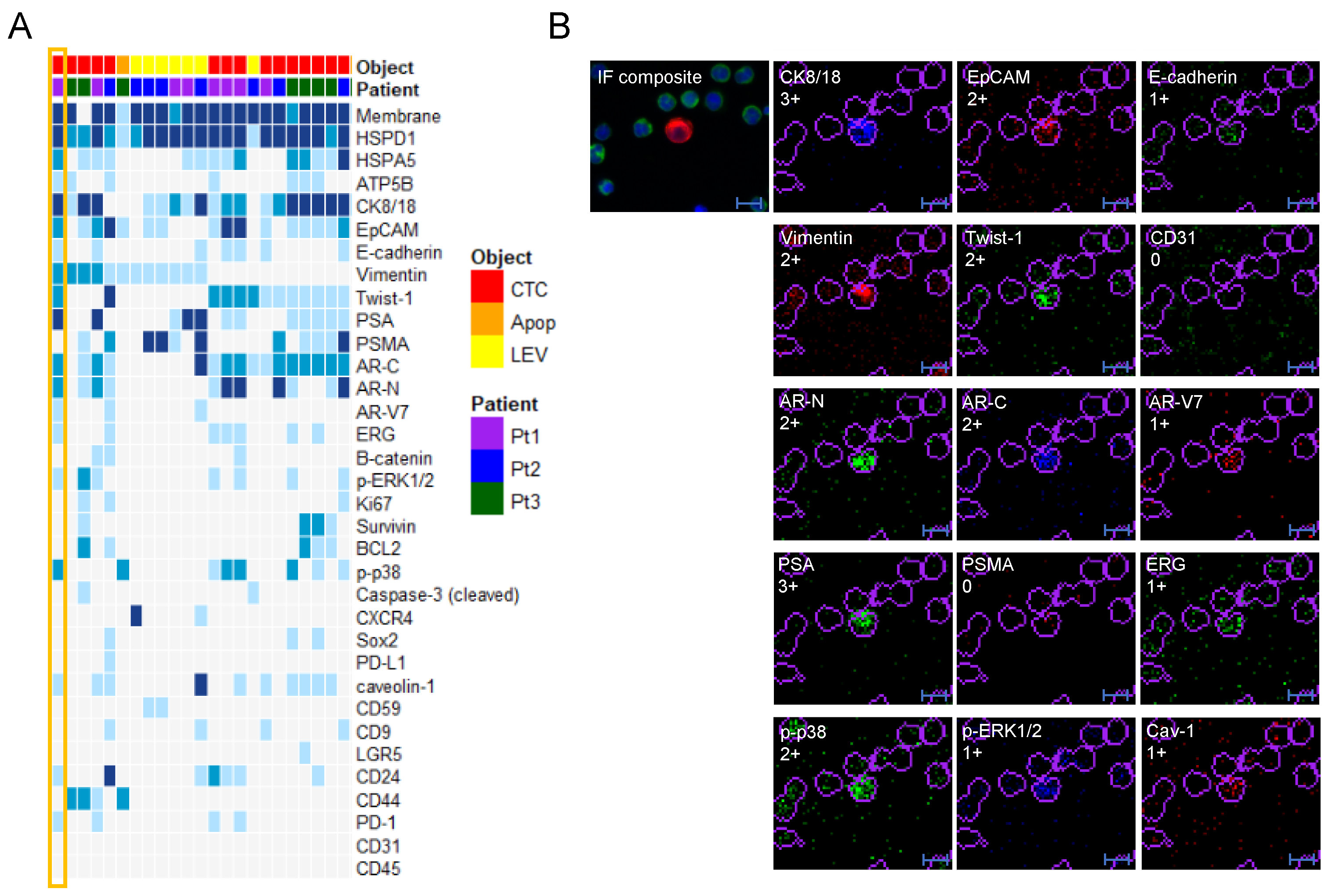 Cancers 13 01056 g004 Cancers 13 01056 g004