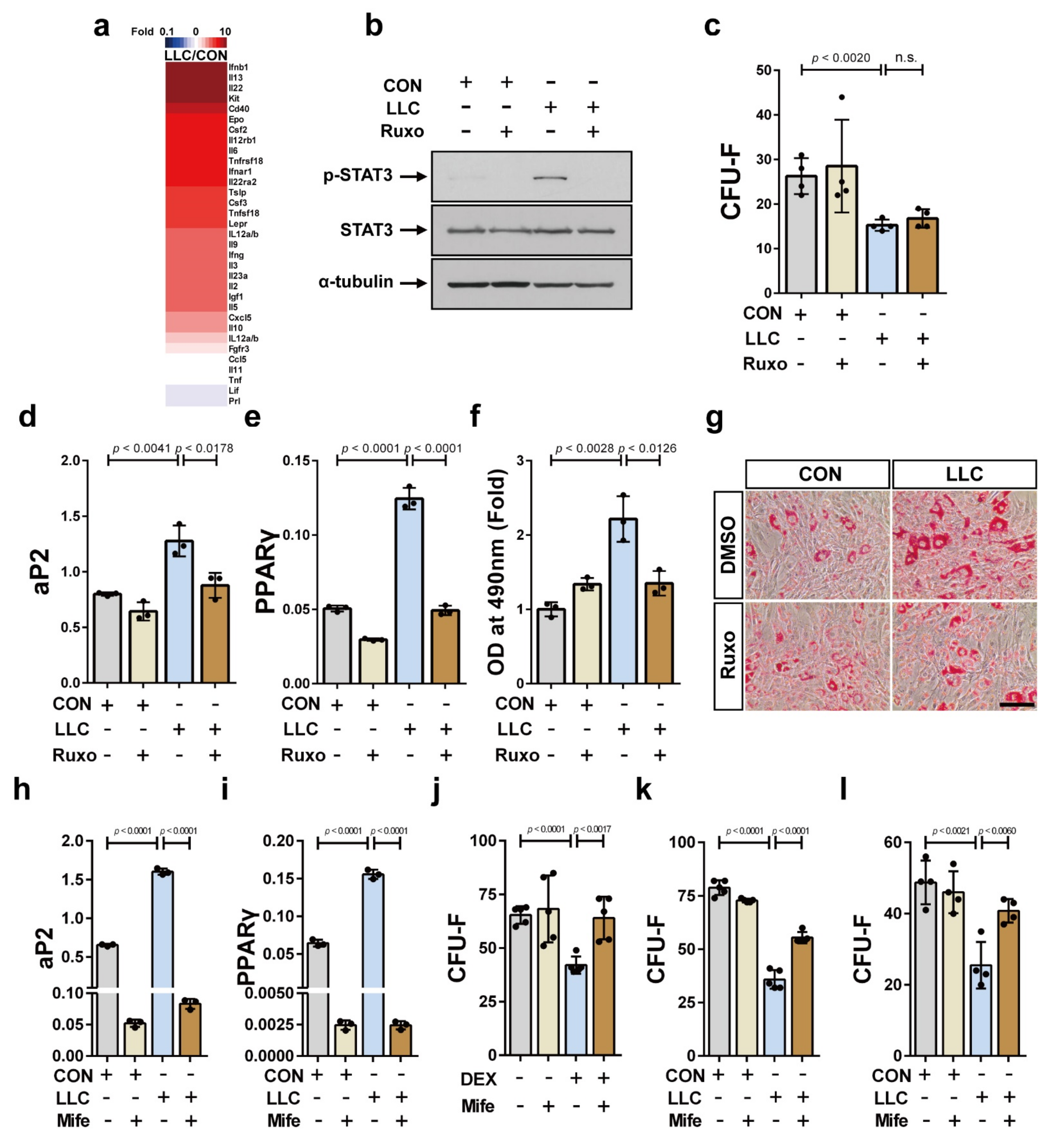 Cancers 13 01059 g004