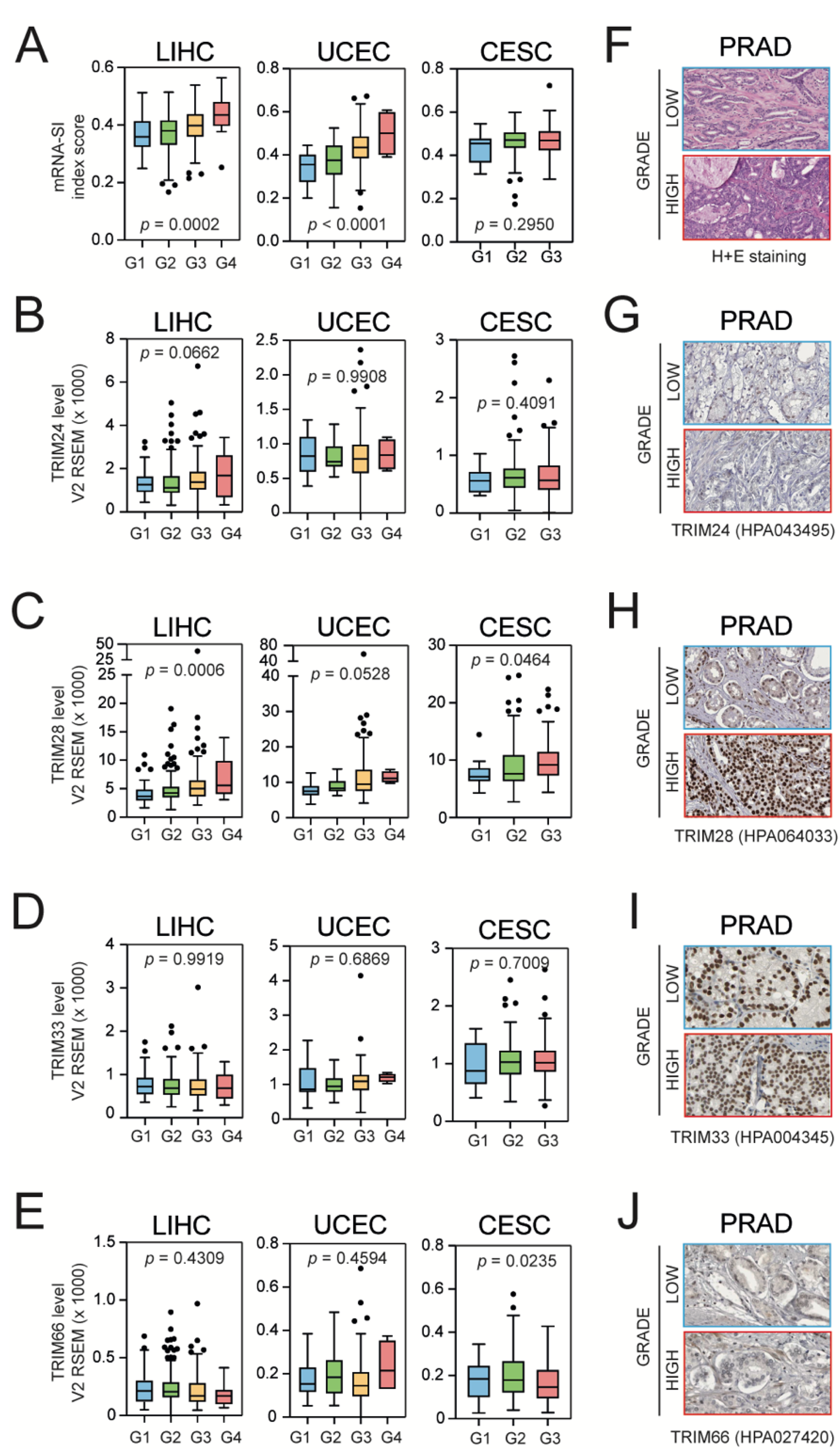 Cancers 13 01065 g003