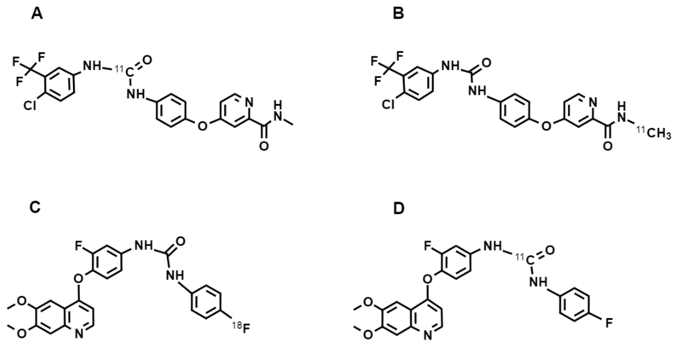 Cancers 13 01072 g004
